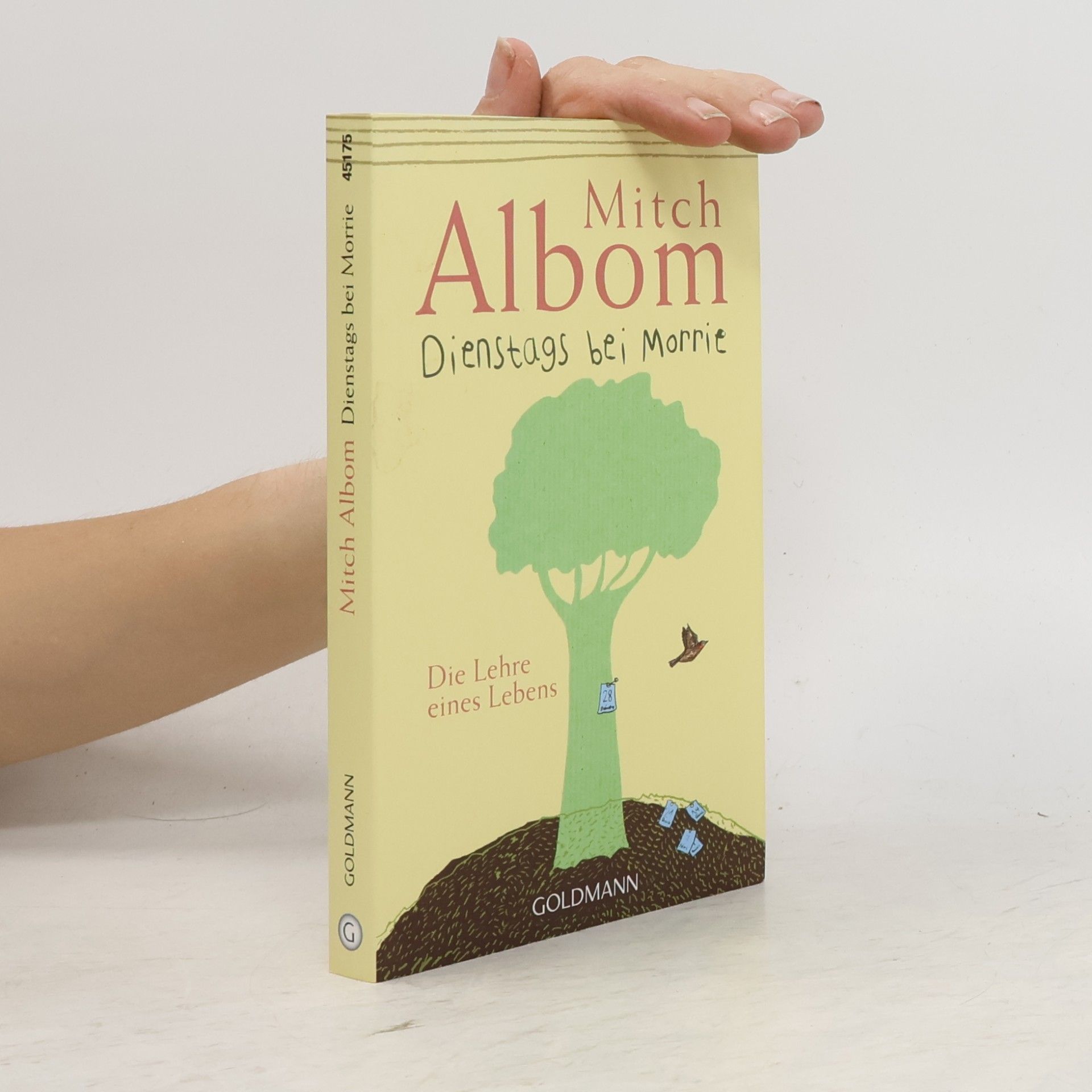 Mitch Albom Dienstags bei Morrie