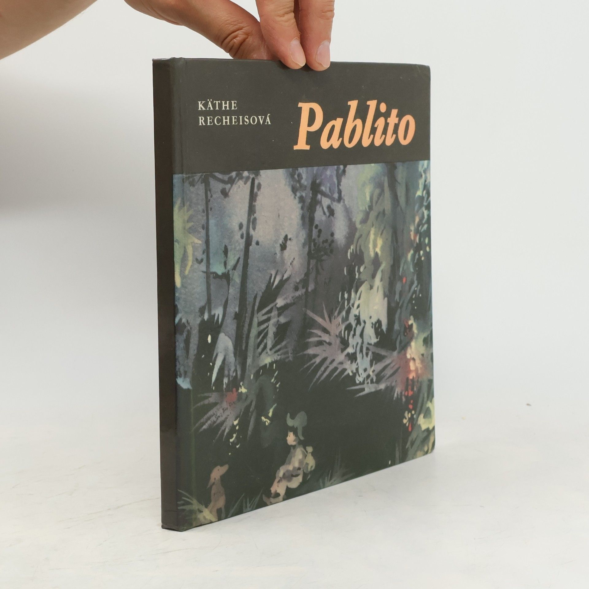 Käthe Recheis Pablito