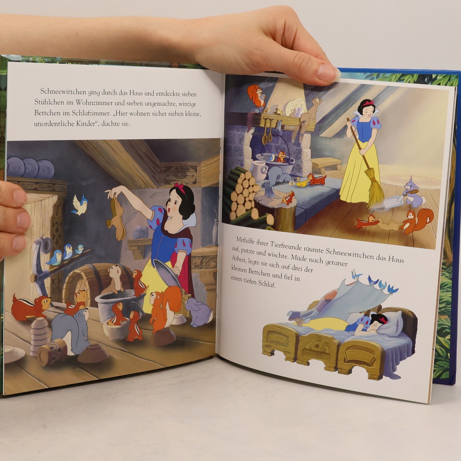 Walt Disney Company Disney Magical Story