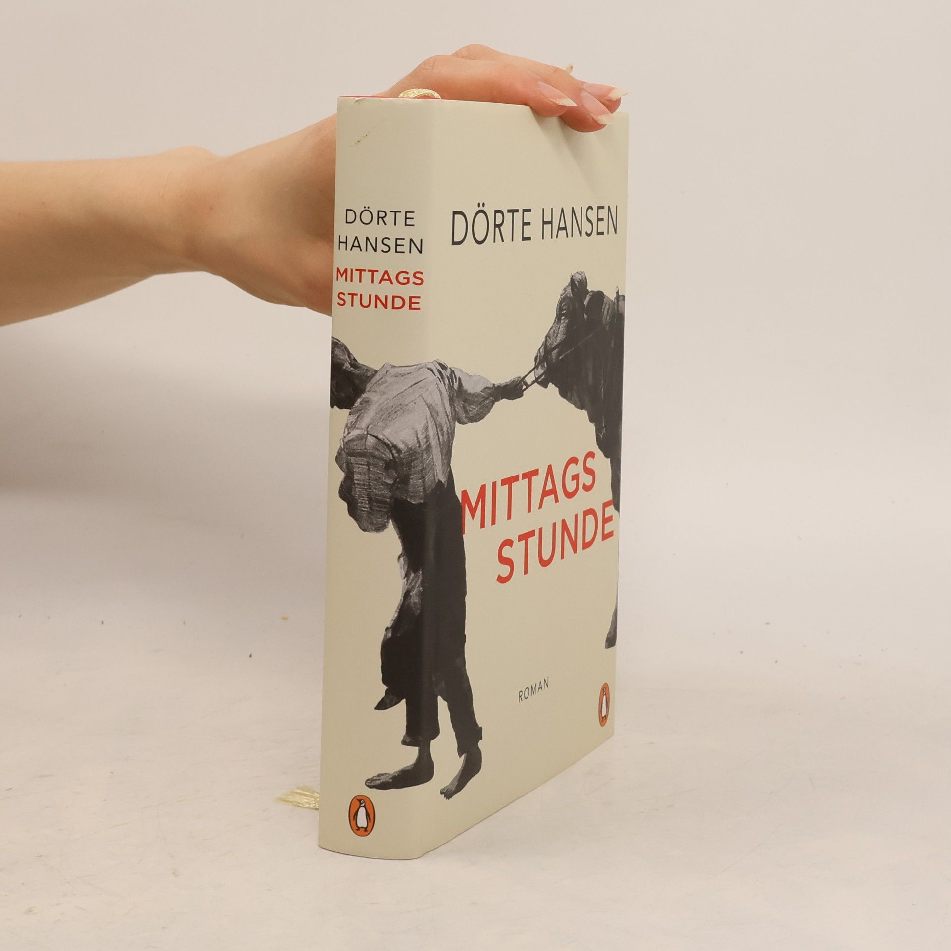 Dörte Hansen Mittagsstunde