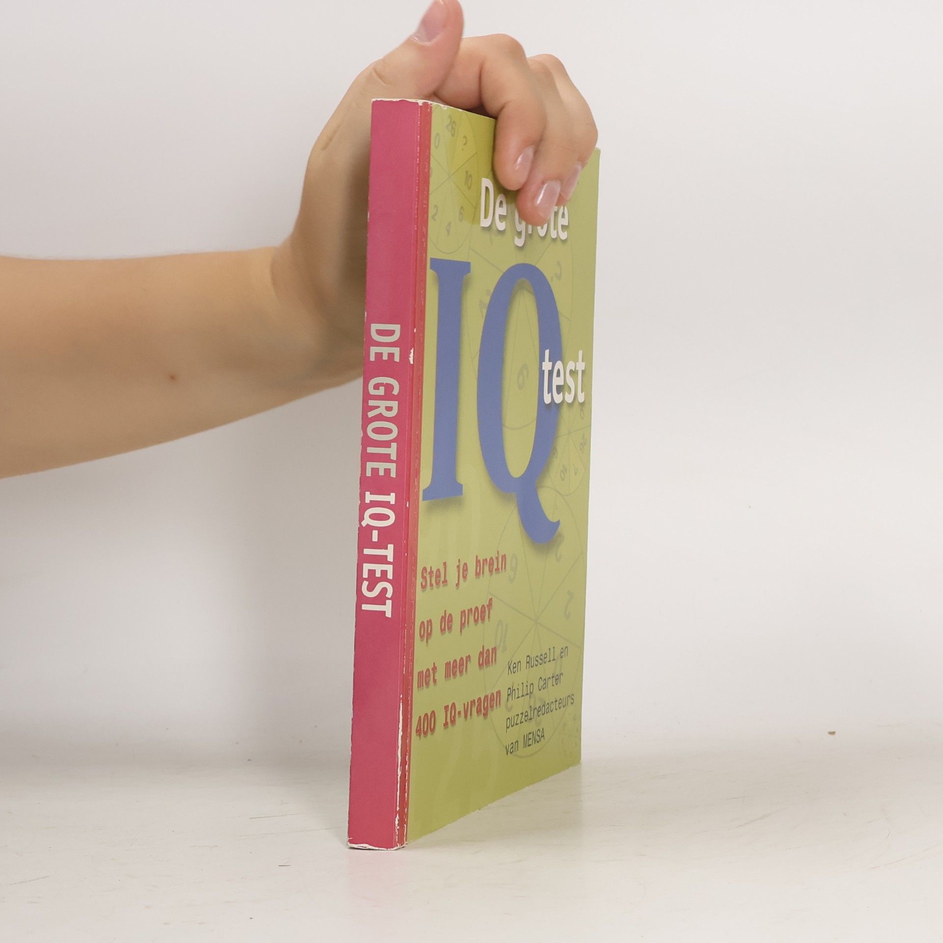 De grote IQ test