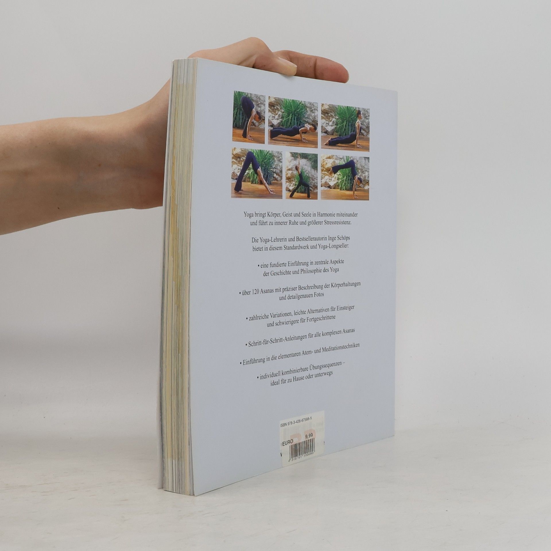 Inge Schöps Yoga - Das große Praxisbuch für Einsteiger & Fortgeschrittene