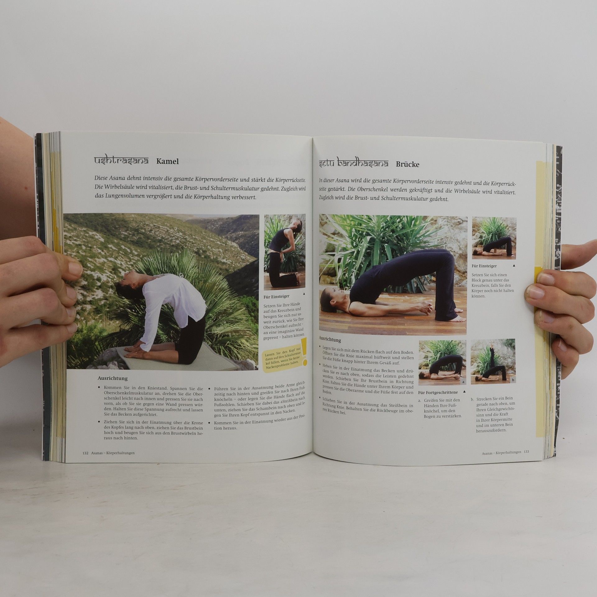 Inge Schöps Yoga - Das große Praxisbuch für Einsteiger & Fortgeschrittene