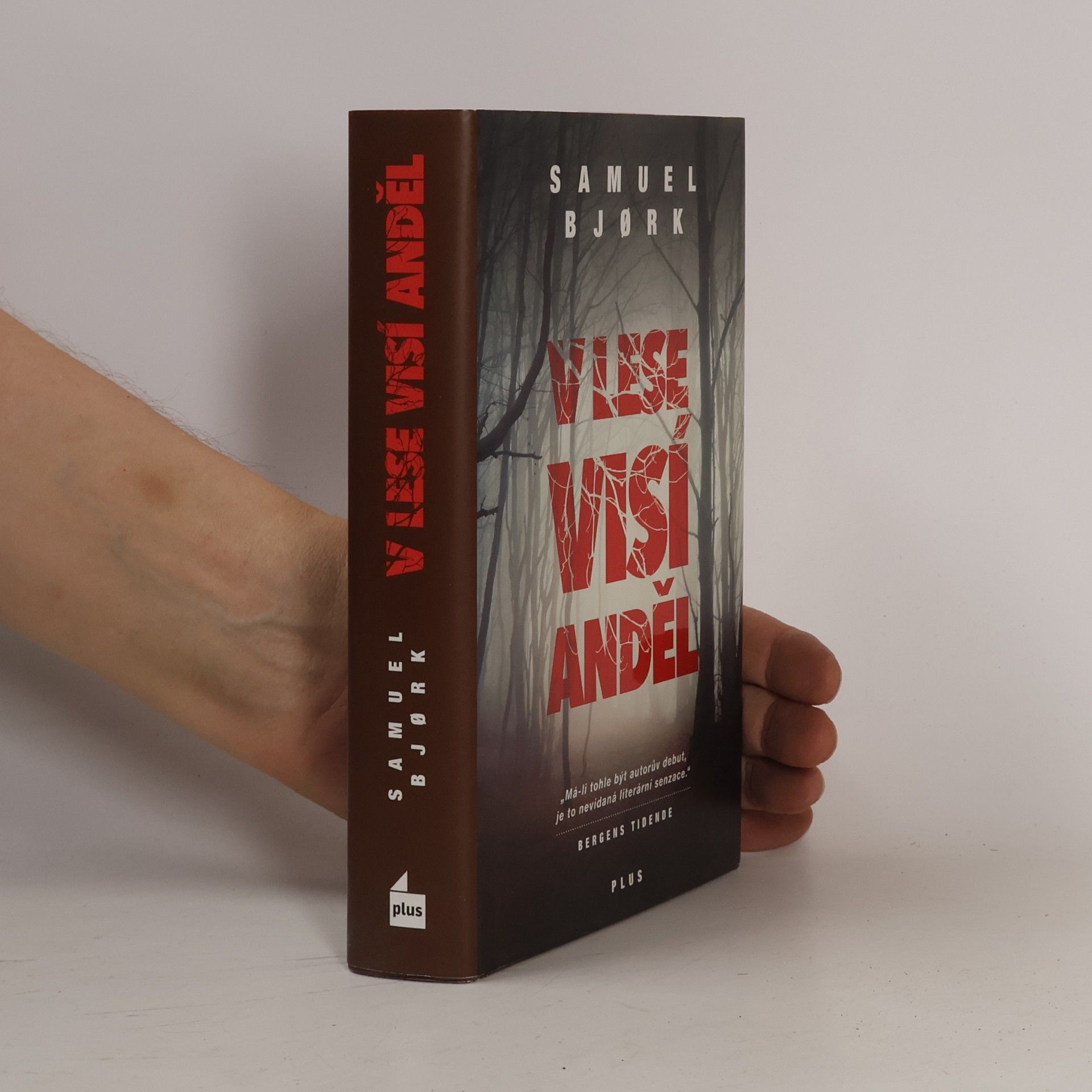Samuel Bjork V lese visí anděl