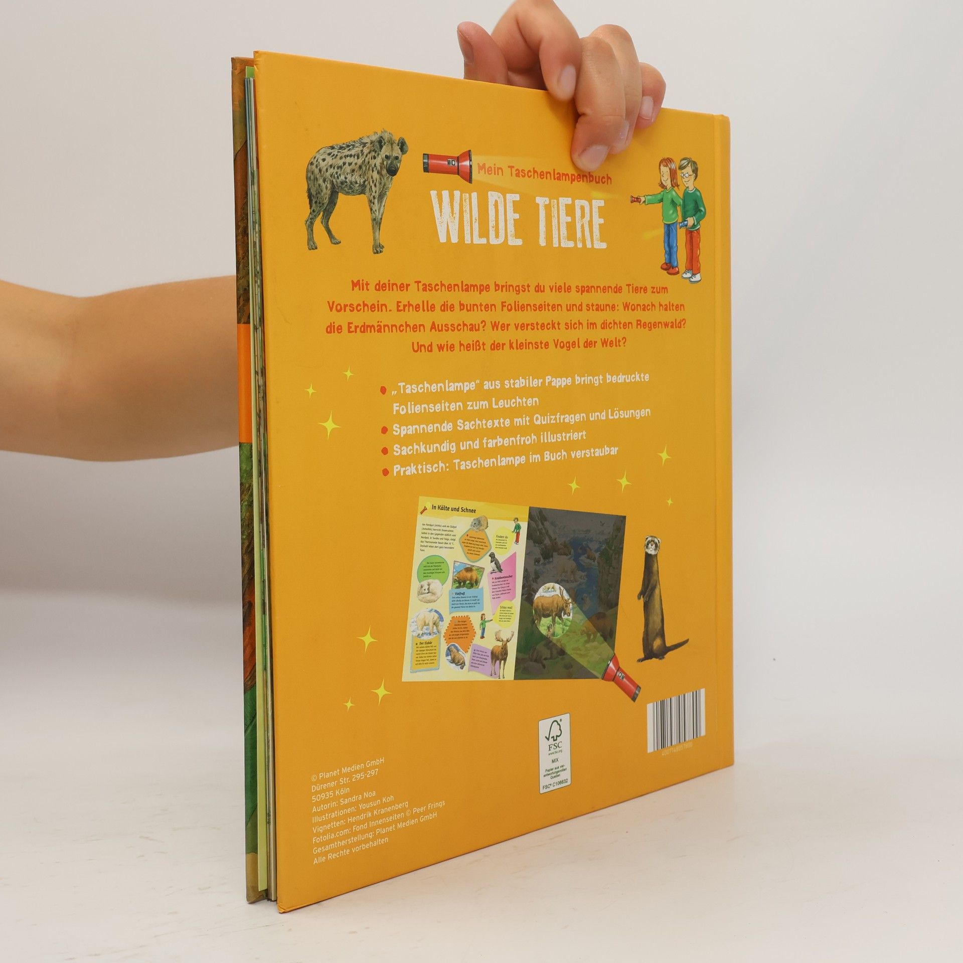 Autorenkollektiv Mein Taschenlampenbuch Wilde Tiere