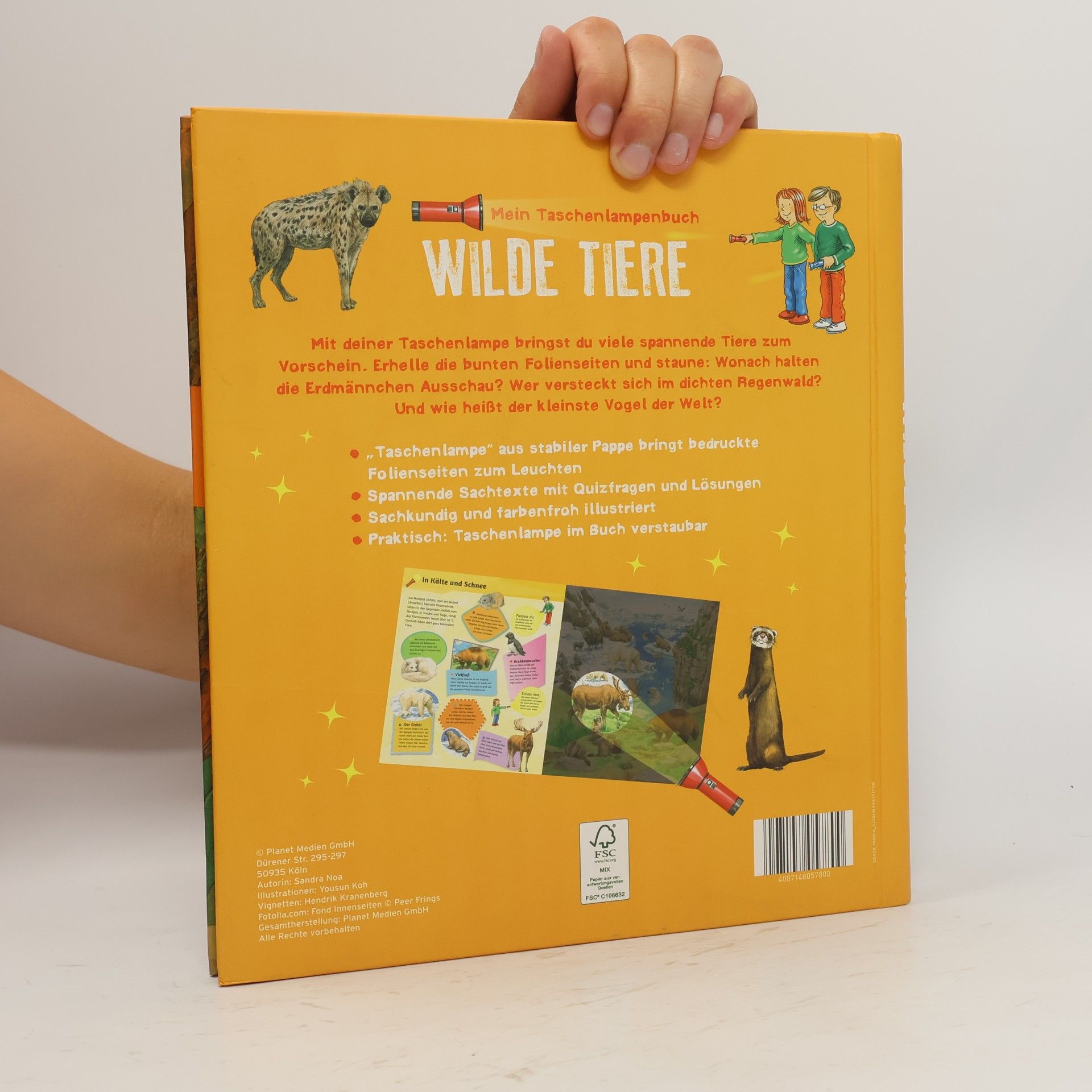 Autorenkollektiv Mein Taschenlampenbuch Wilde Tiere