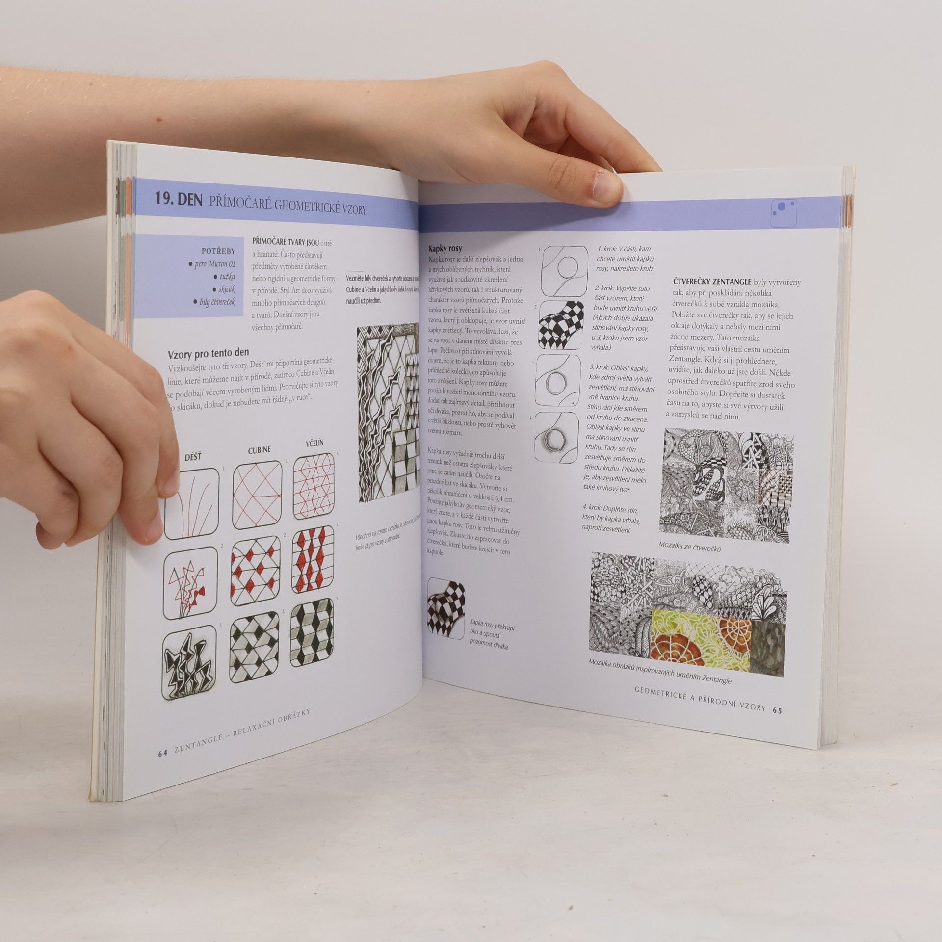 Beckah Krahula Zentangle : relaxační obrázky : kreativní kresba - inspirace i zábava