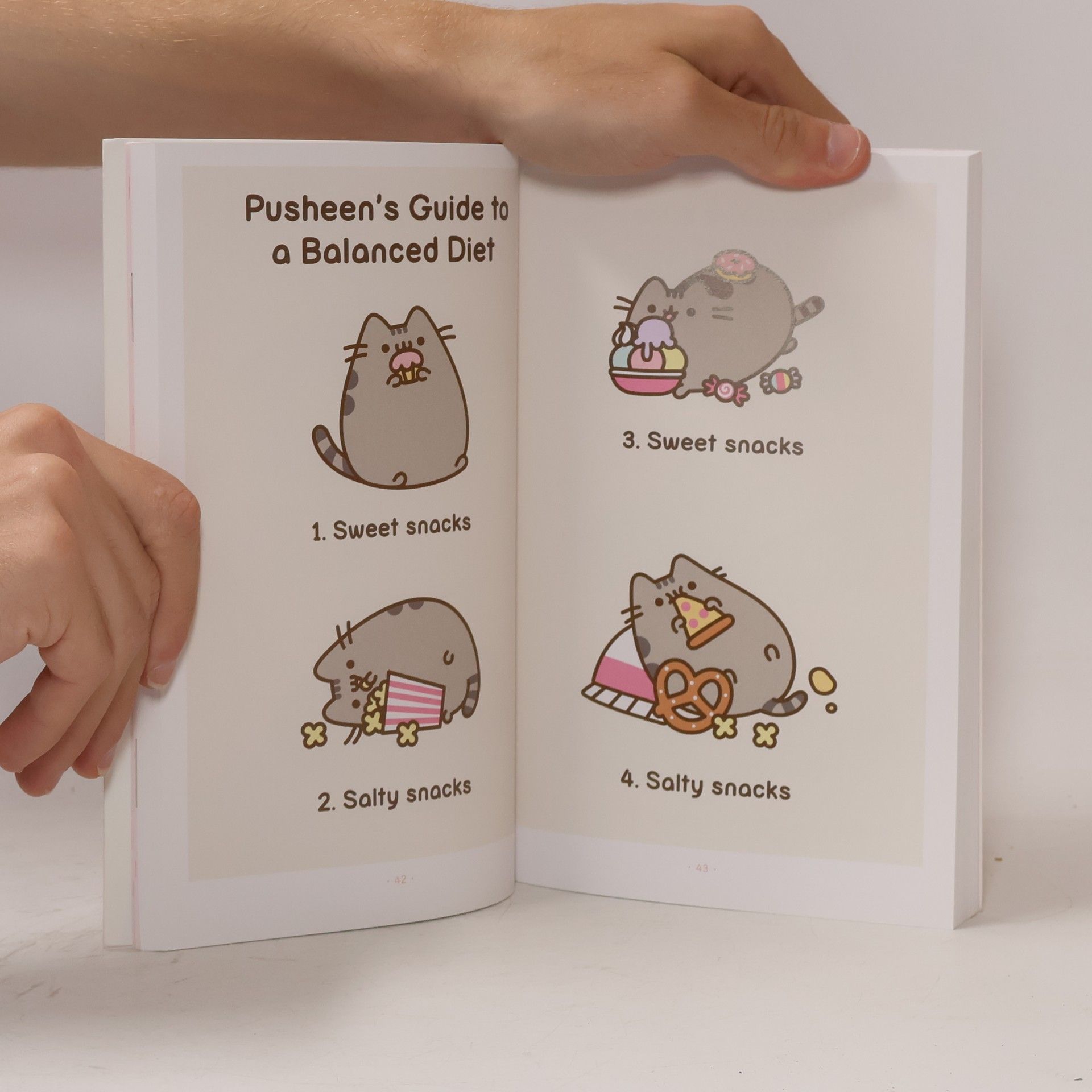 Claire Belton The Many Lives Of Pusheen the Cat