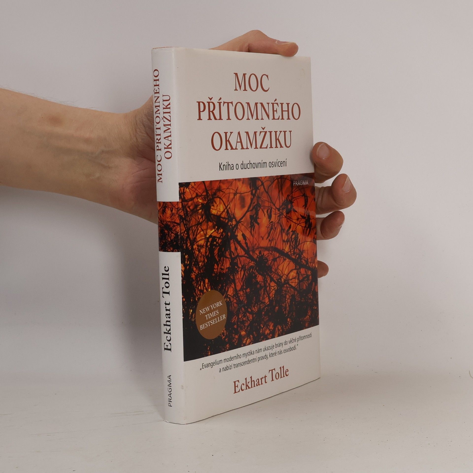 Eckhart Tolle Moc přítomného okamžiku