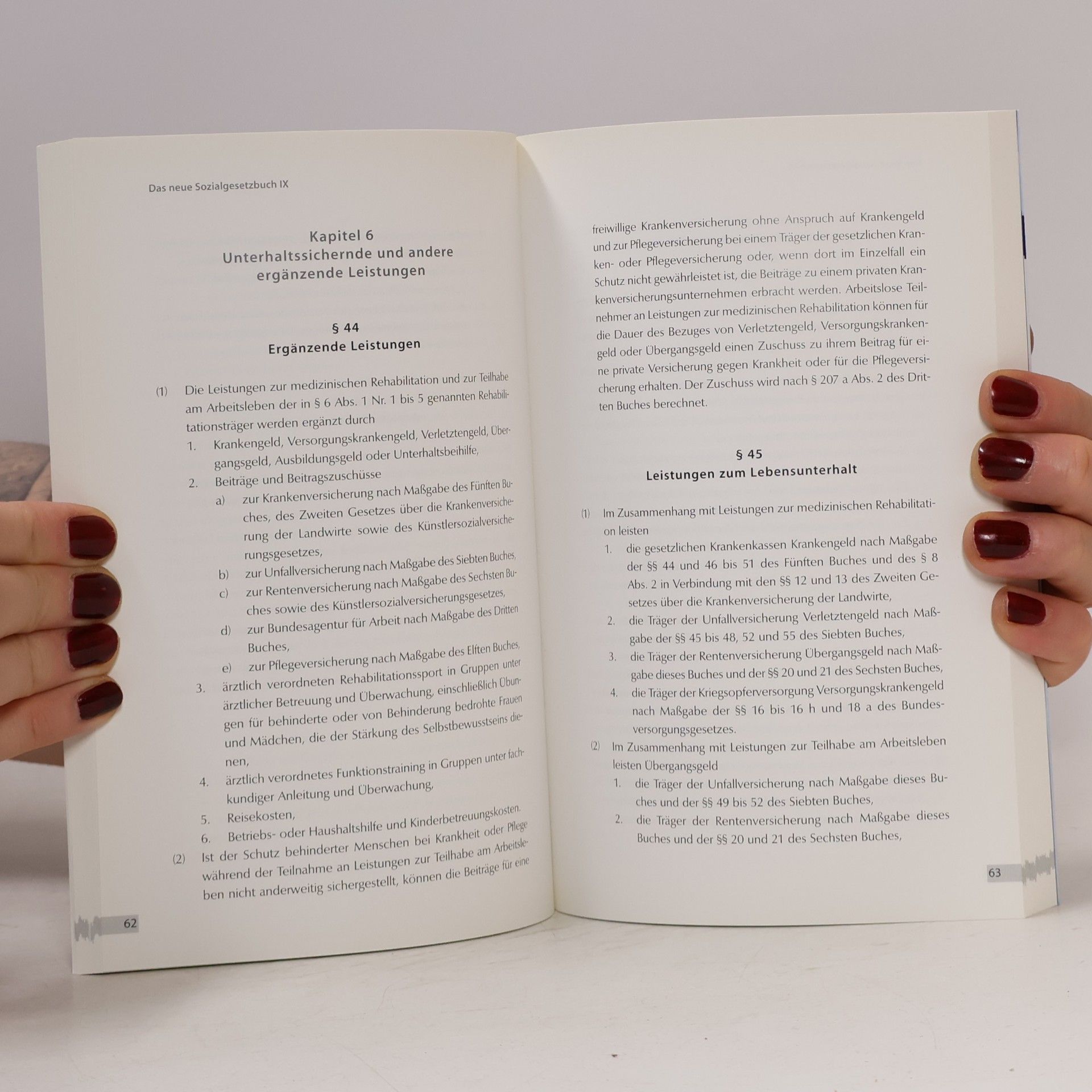 Alexandra Hörder Das neue Sozialgesetzbuch IX