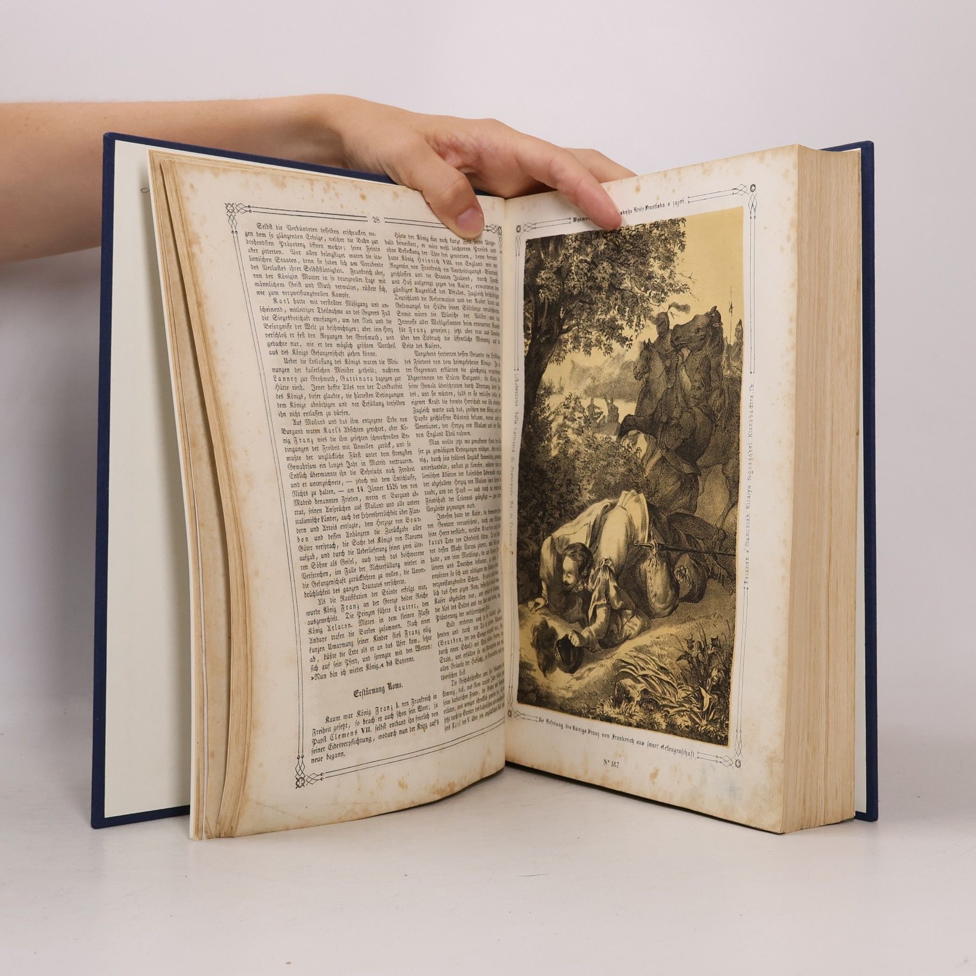 Anton Ziegler Vaterländische Bilder-Chronik 3