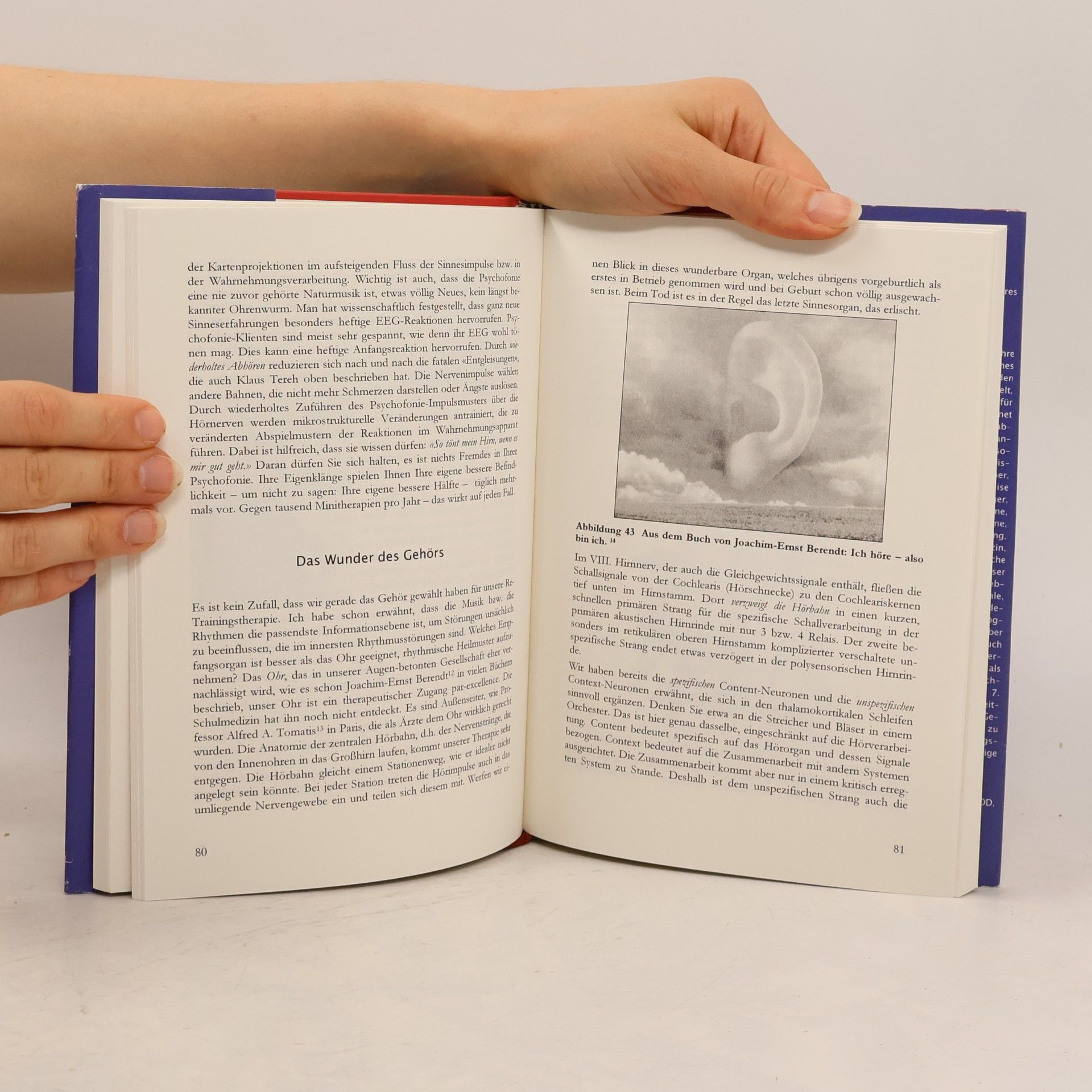 Bruno Fricker Psychofonie. Hardcover-Ausgabe. Die heilkräftige Klangquelle in meinem Kopf.