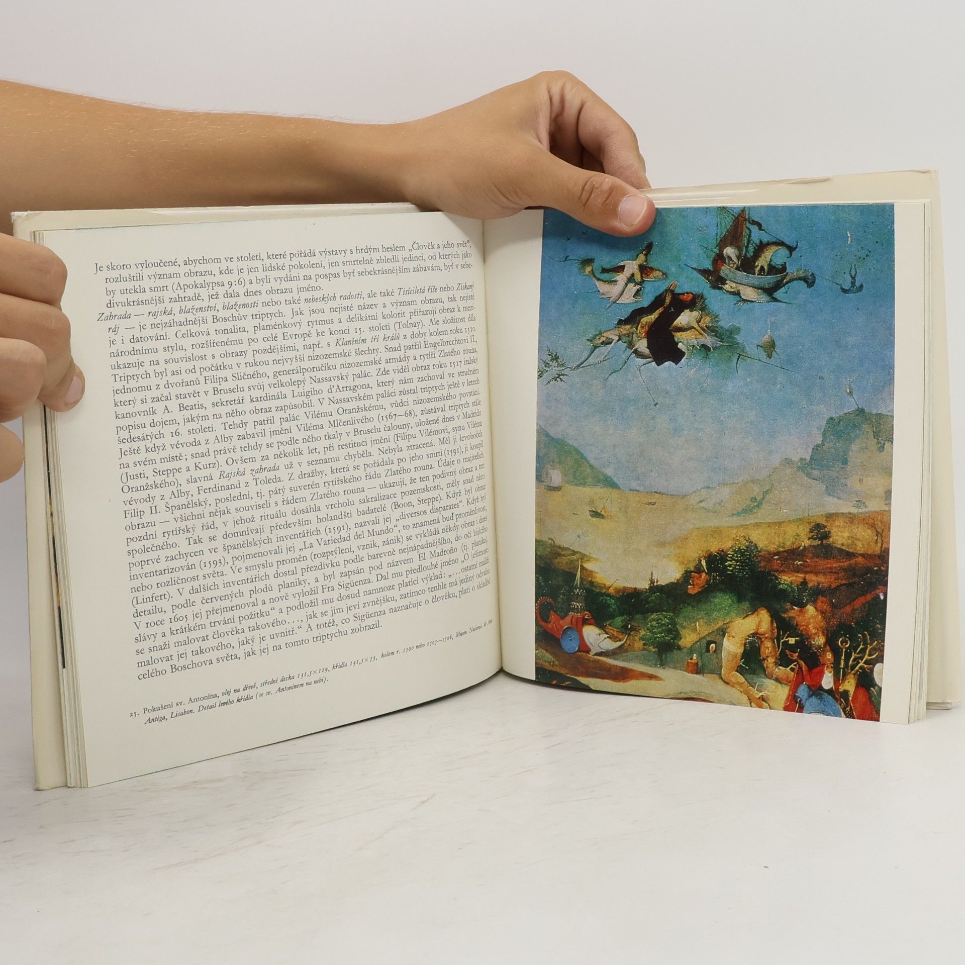 Hana Volavková Hieronymus Bosch