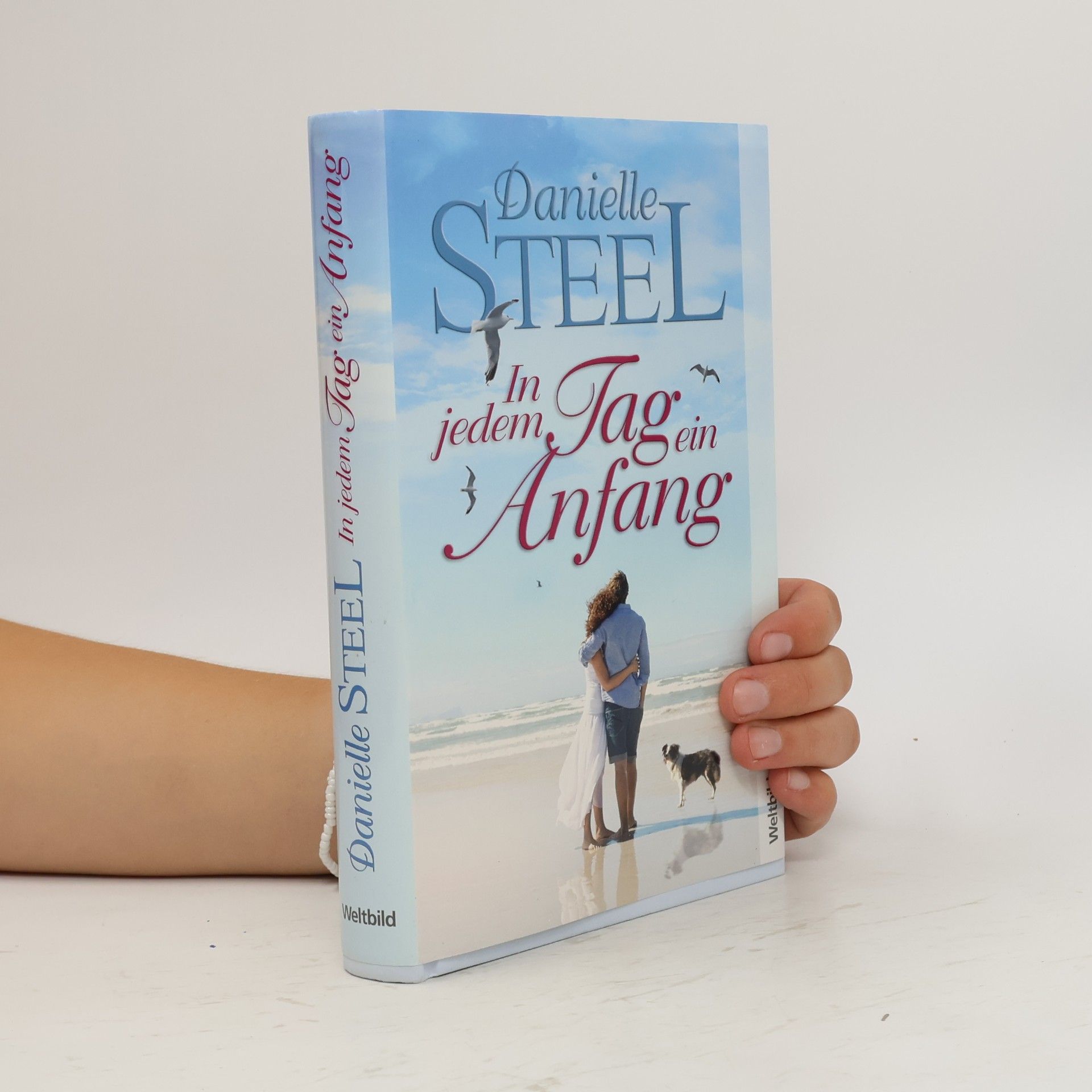 Danielle Steel In jedem Tag ein Anfang