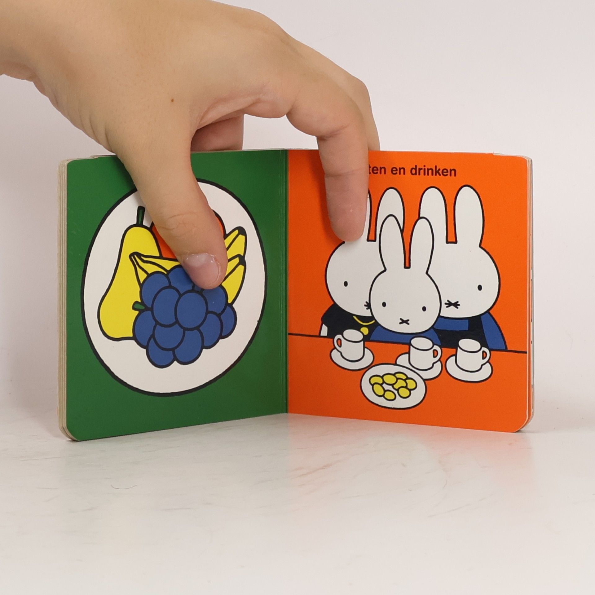 Dick Bruna Thuis bij Nijntje