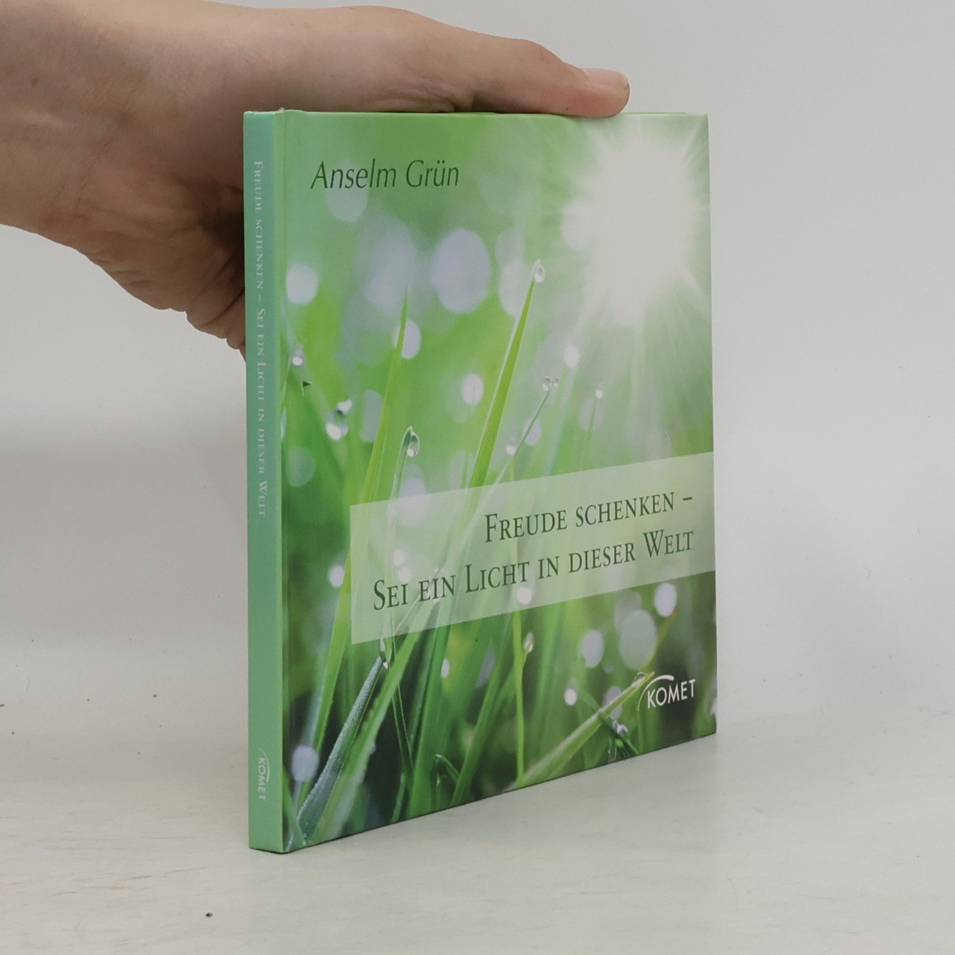 Anselm Grün Freude schenken - sei ein Licht in dieser Welt