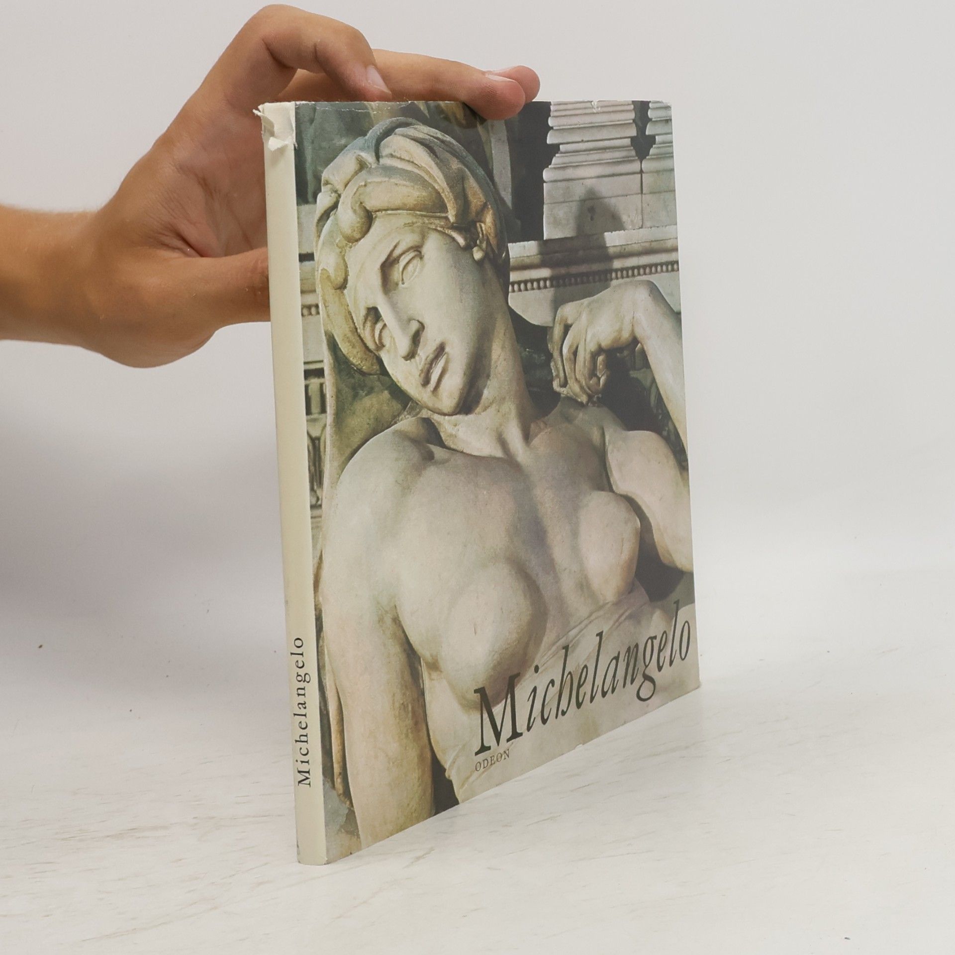 Michelangelo