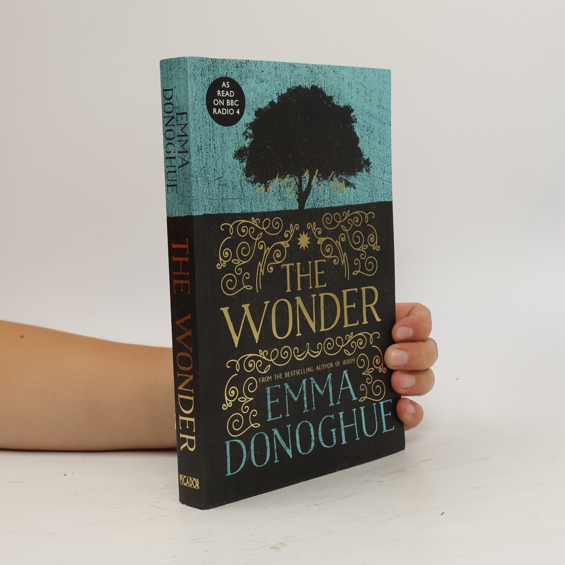 Emma Donoghue The wonder