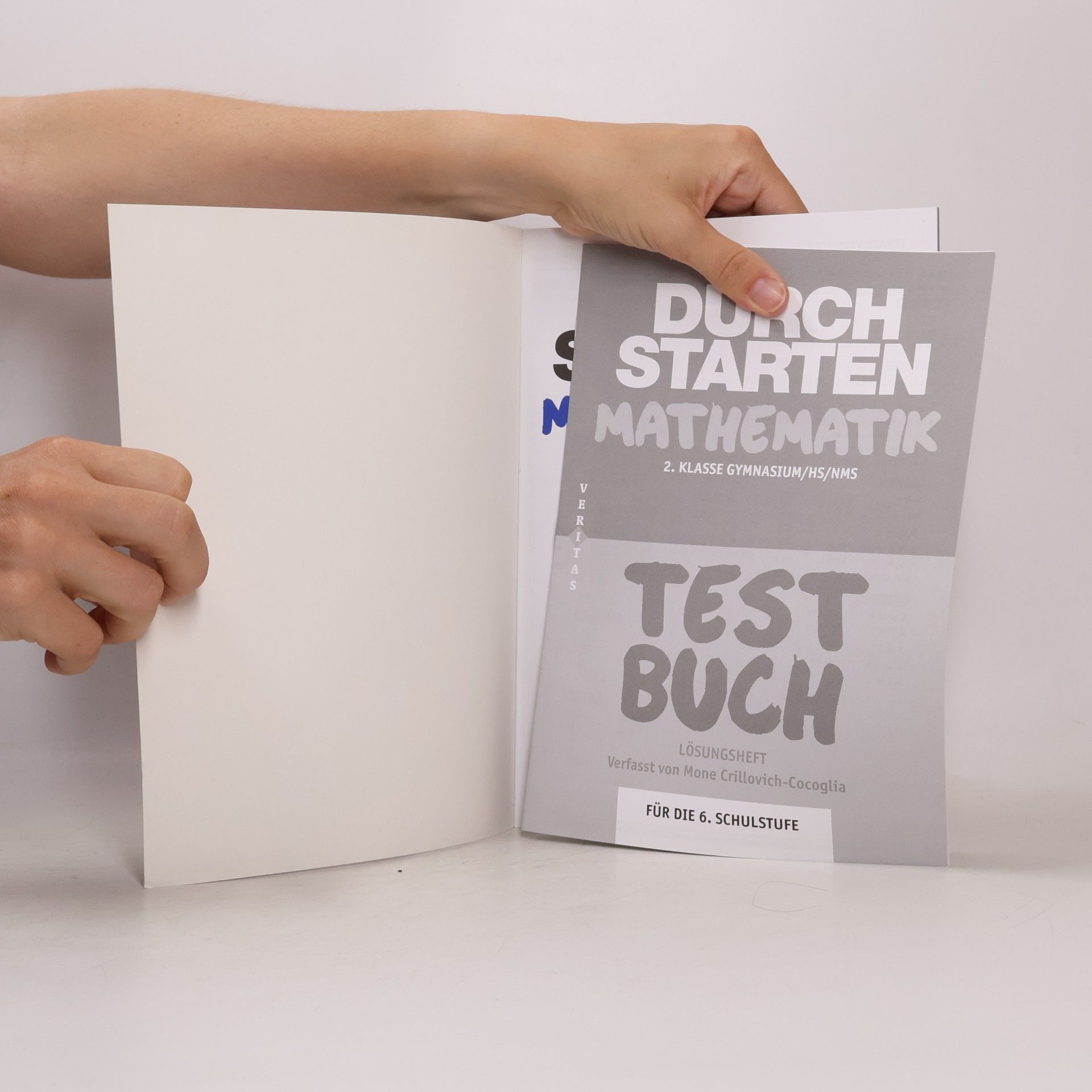 Mone Crillovich-Cocoglia Durchstarten Mathematik - 6: Testbuch für die 6. Schulstufe
