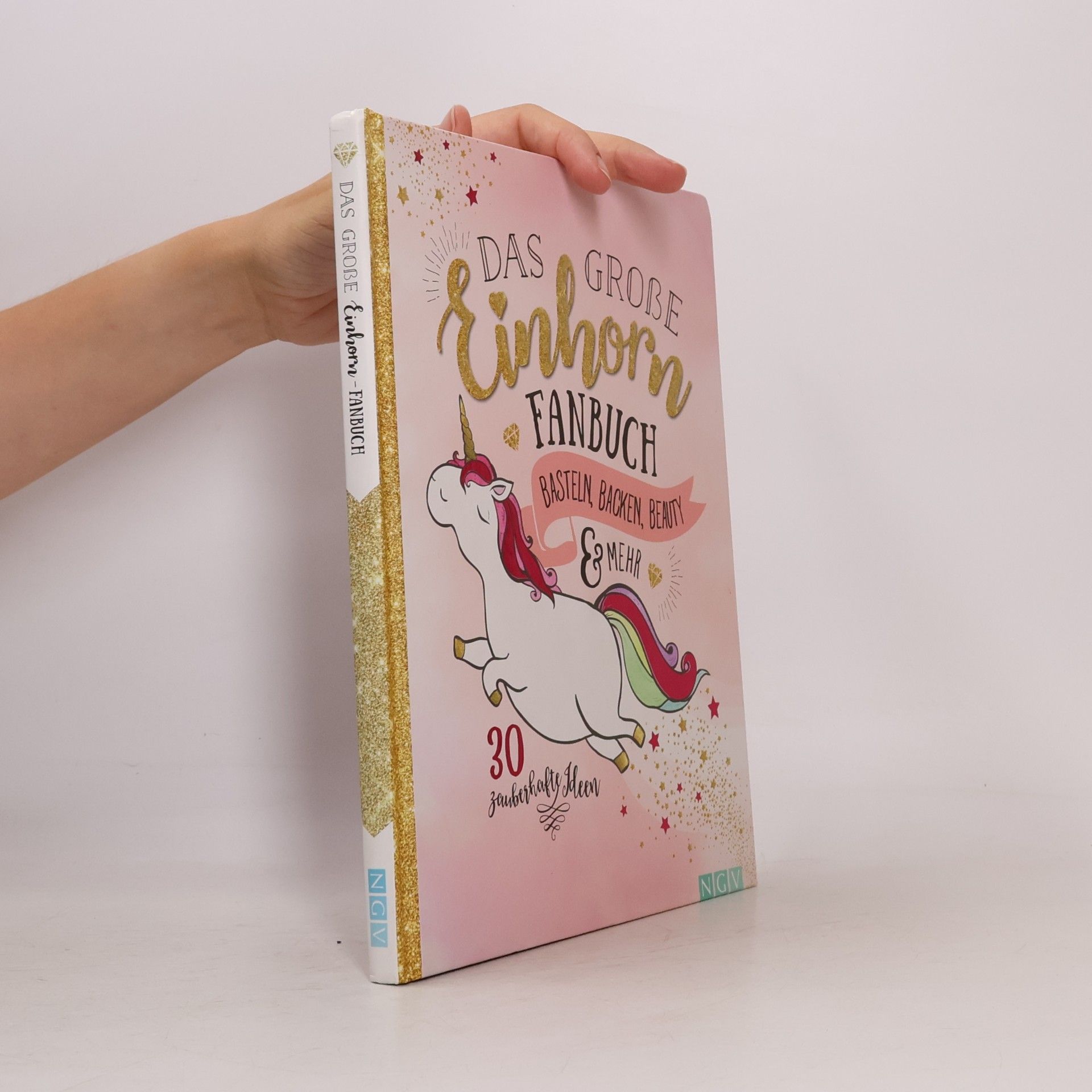 Autorenkollektiv Das grosse Einhorn Fanbuch