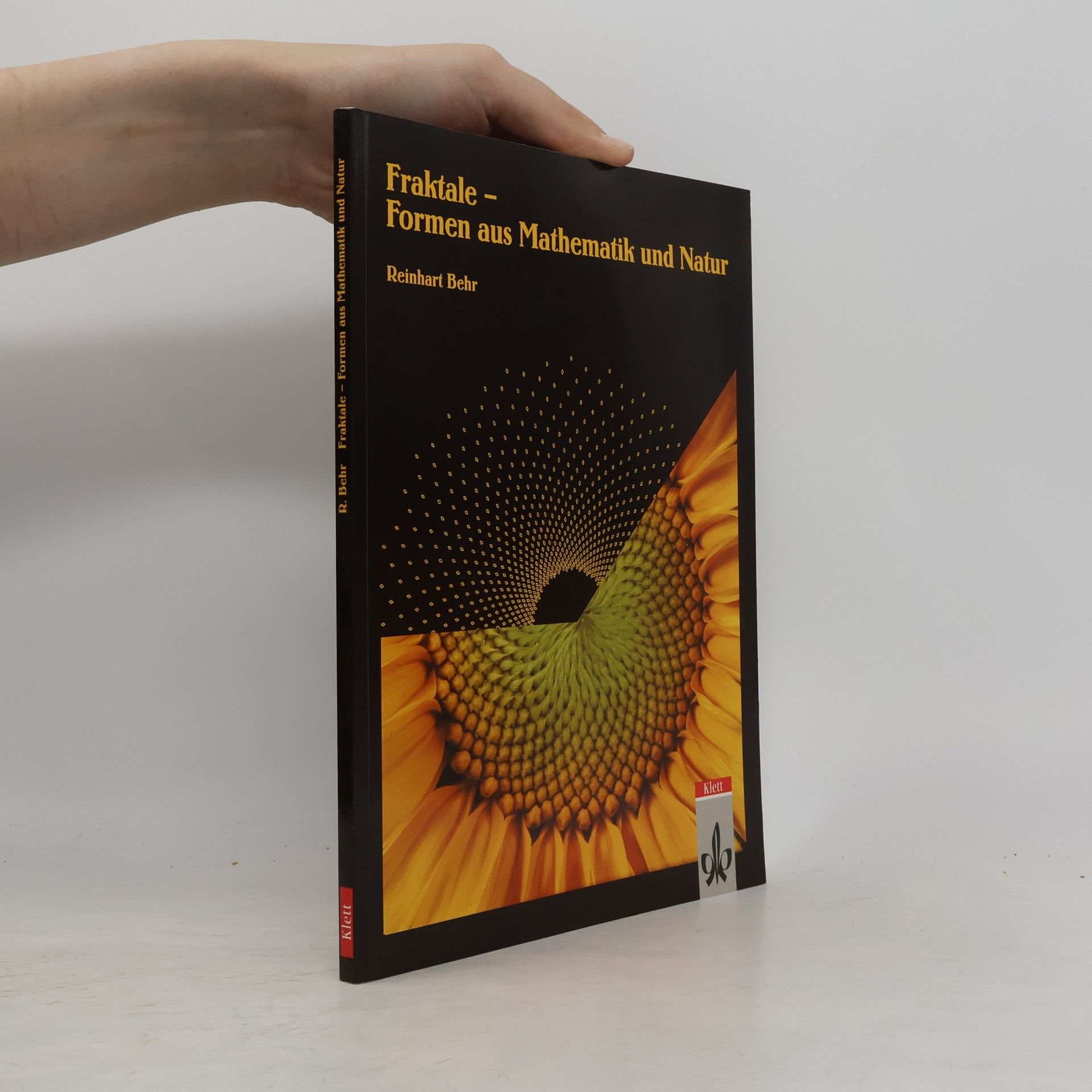 René Rössing Fraktale, Formen aus Mathematik und Natur