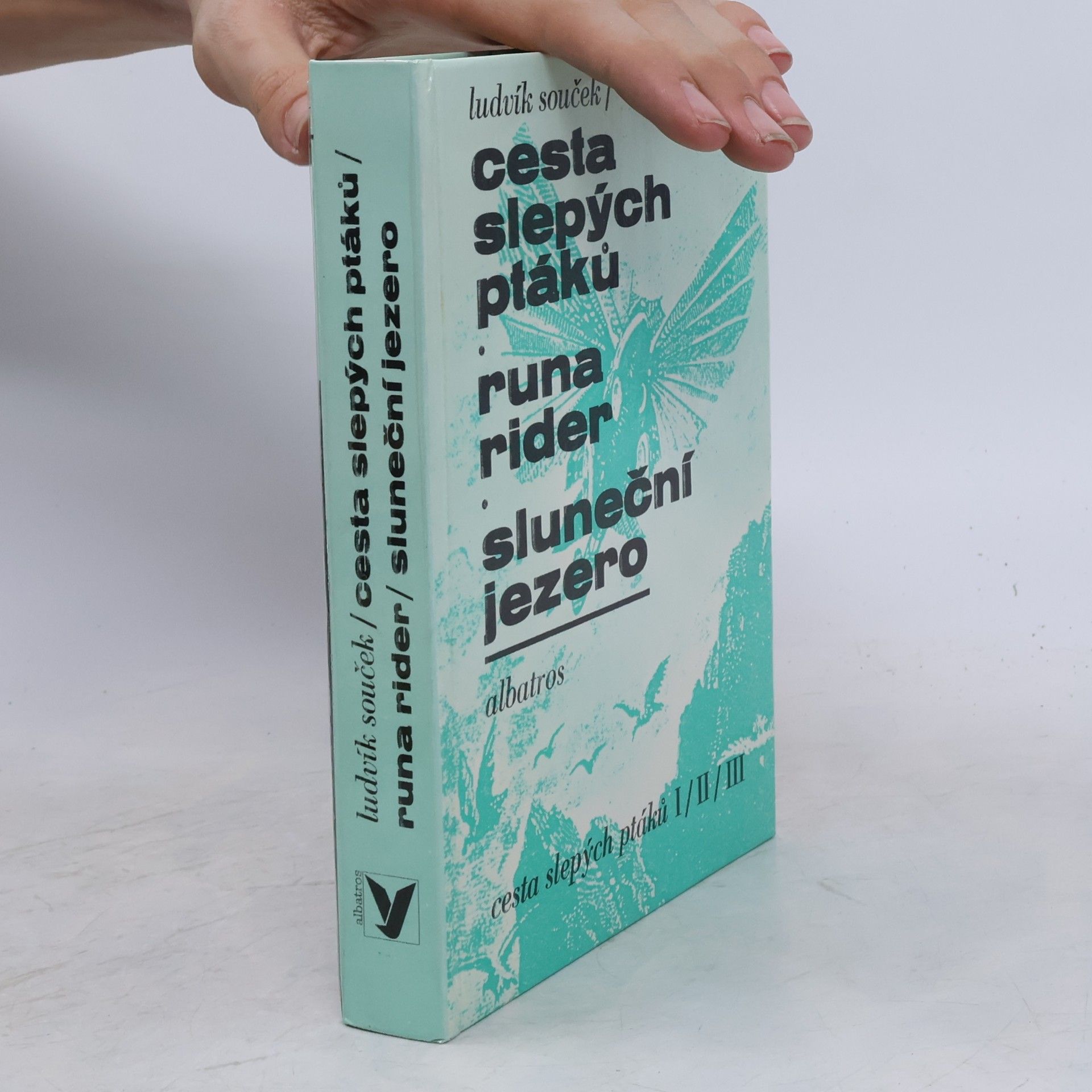 Ludvík Souček Cesta slepých ptáků. Runa rider. Sluneční jezero