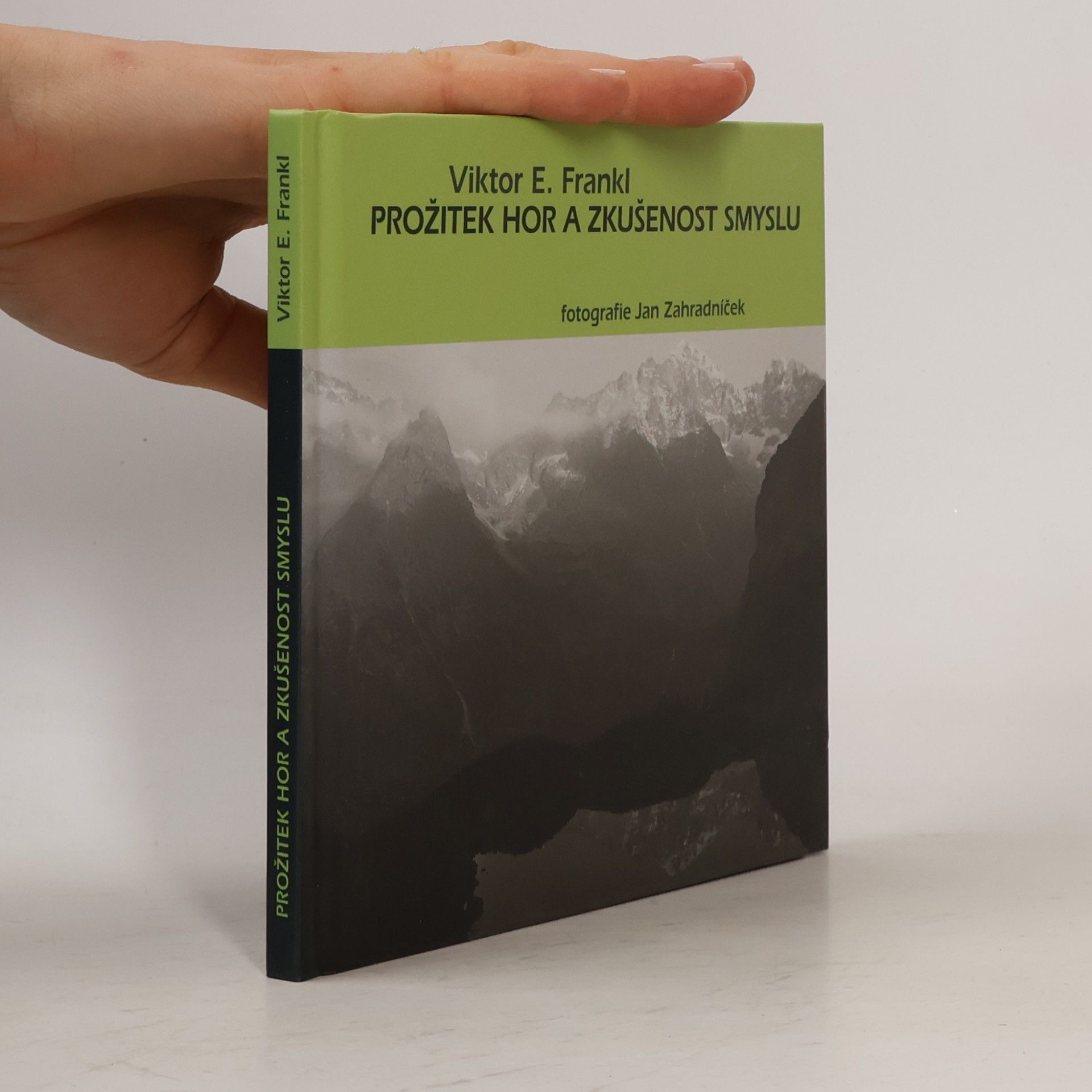 Prožitek hor a zkušenost smyslu