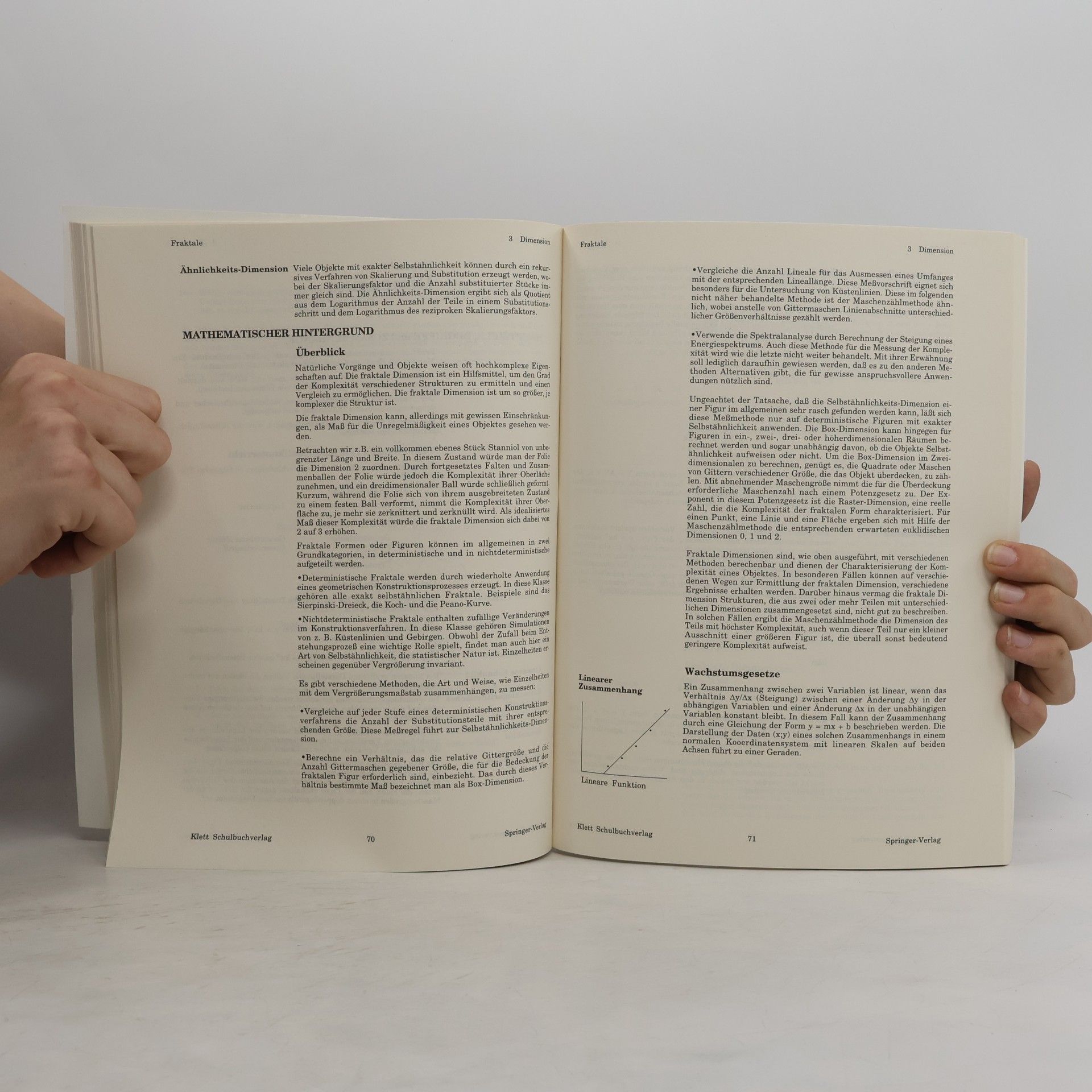 Autorenkollektiv Fraktale - Selbstähnlichkeit, Chaosspiel, Dimension