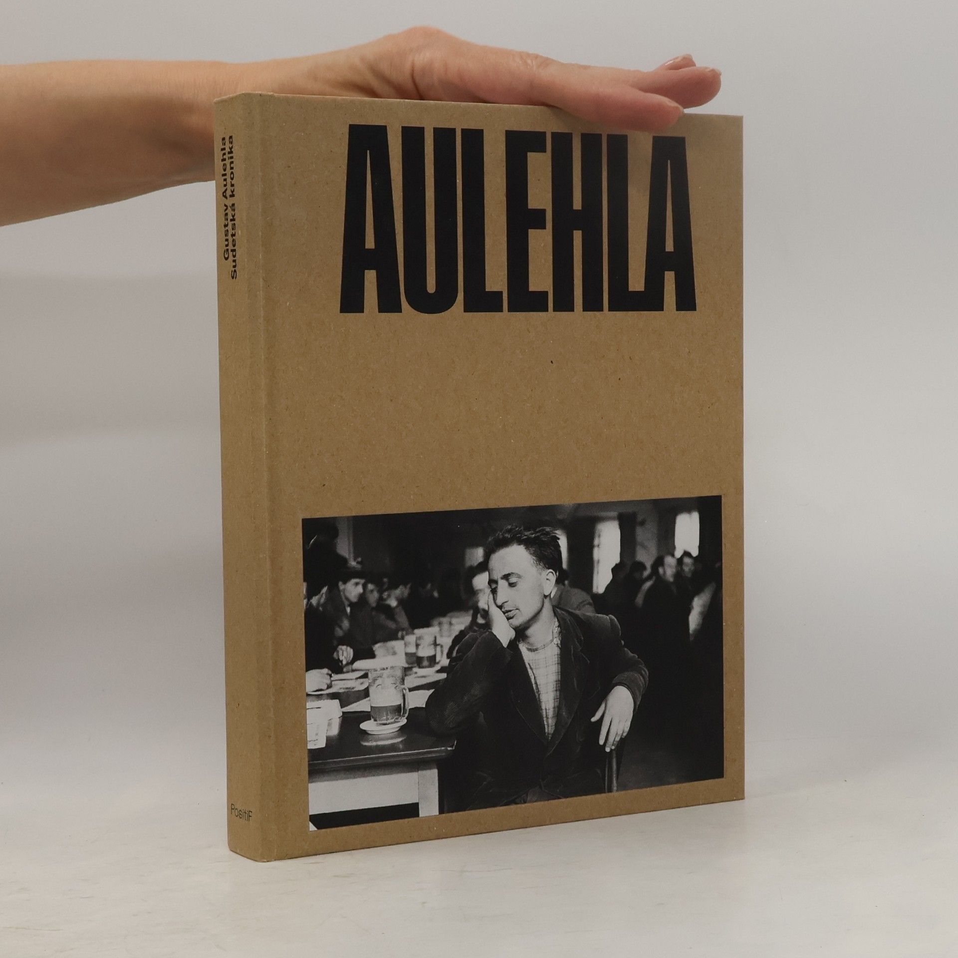 Gustav Aulehla Sudetská kronika