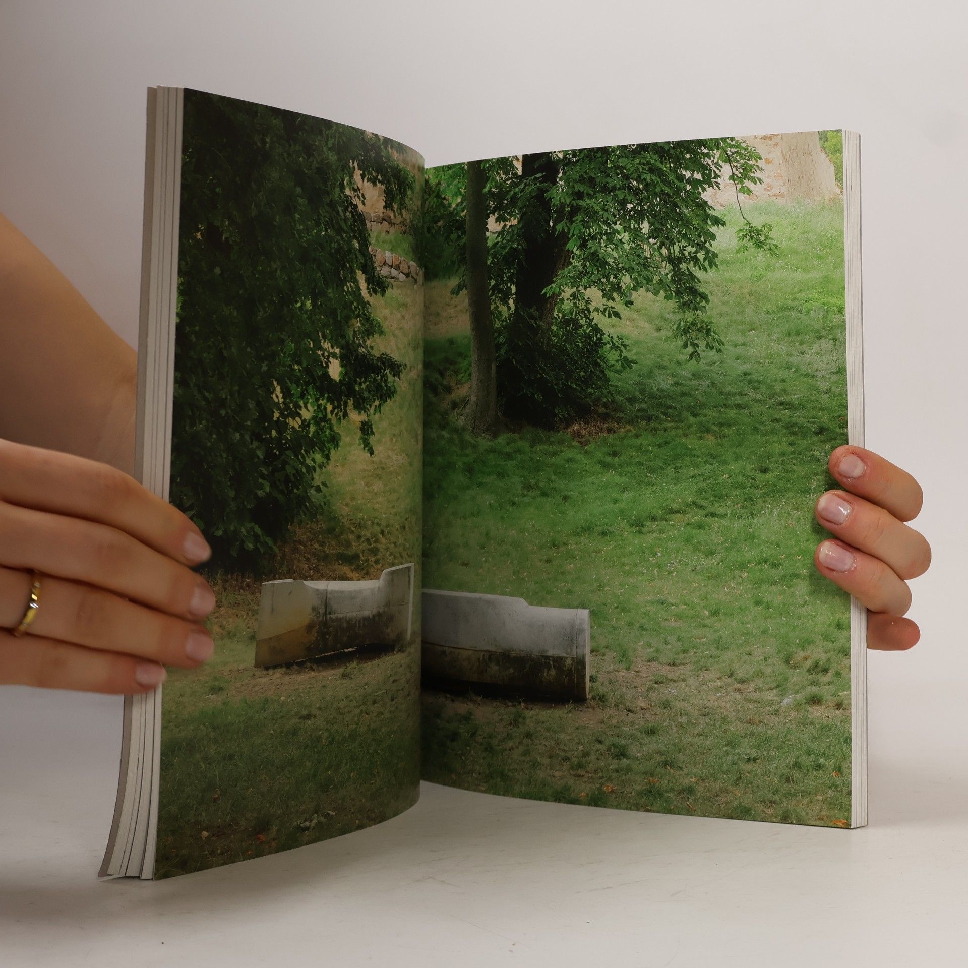 Collectif d'auteurs Immrová: Tříbení (Reinfinement)