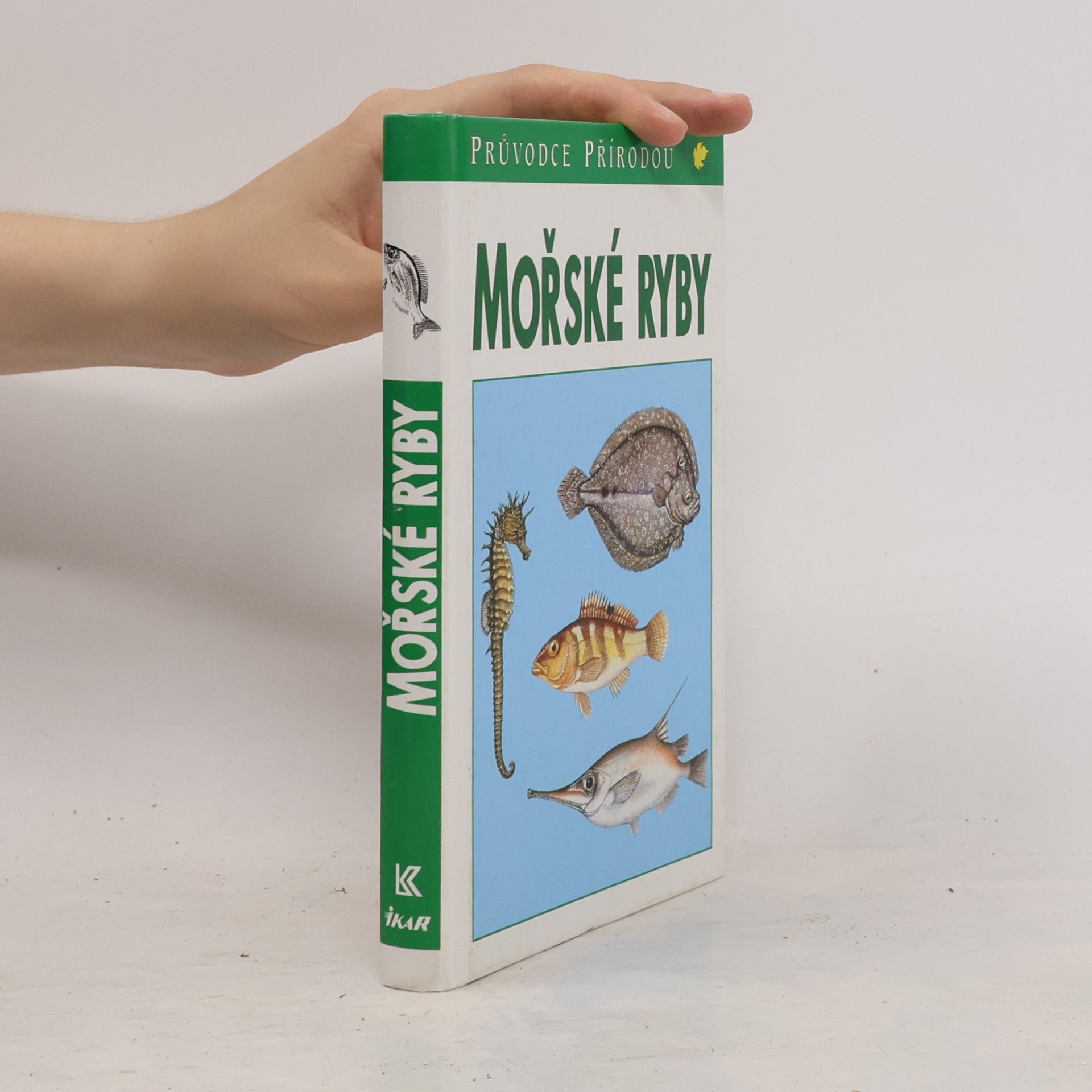 Sauer Frieder Mořské ryby v evropských vodách