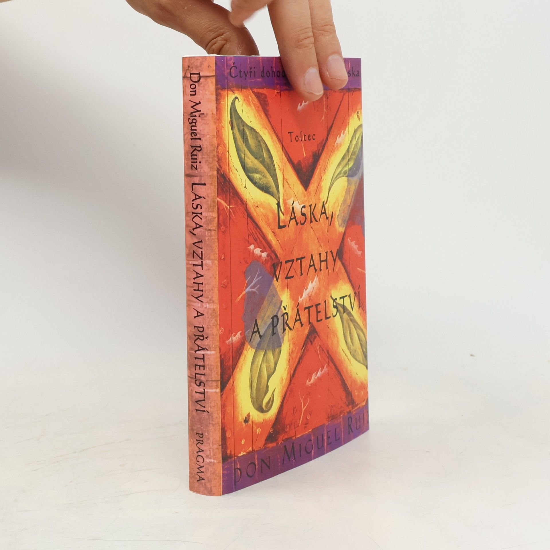 Don Miguel Ruiz Láska, vztahy a přátelství
