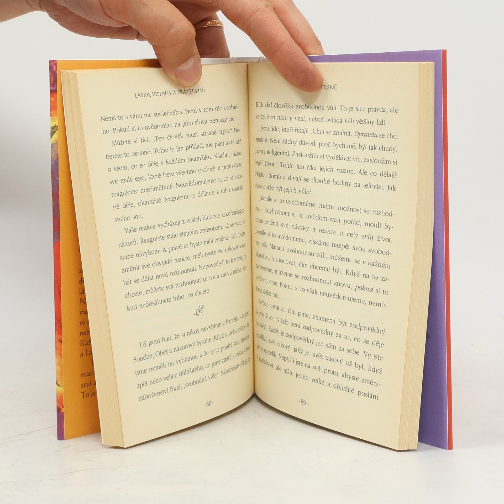 Don Miguel Ruiz Láska, vztahy a přátelství