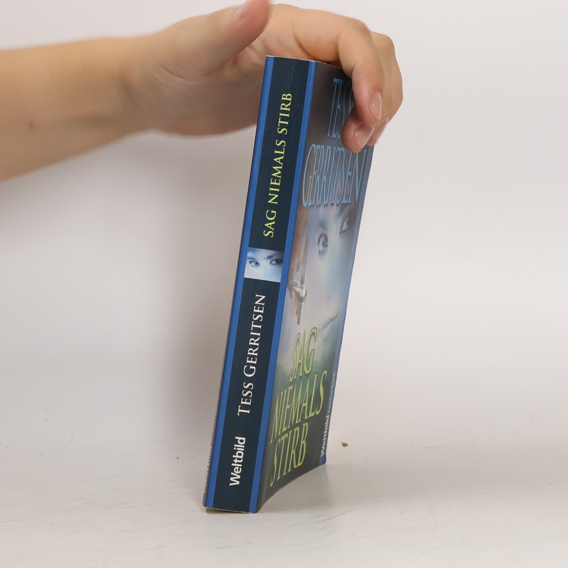 Tess Gerritsen Sag niemals stirb