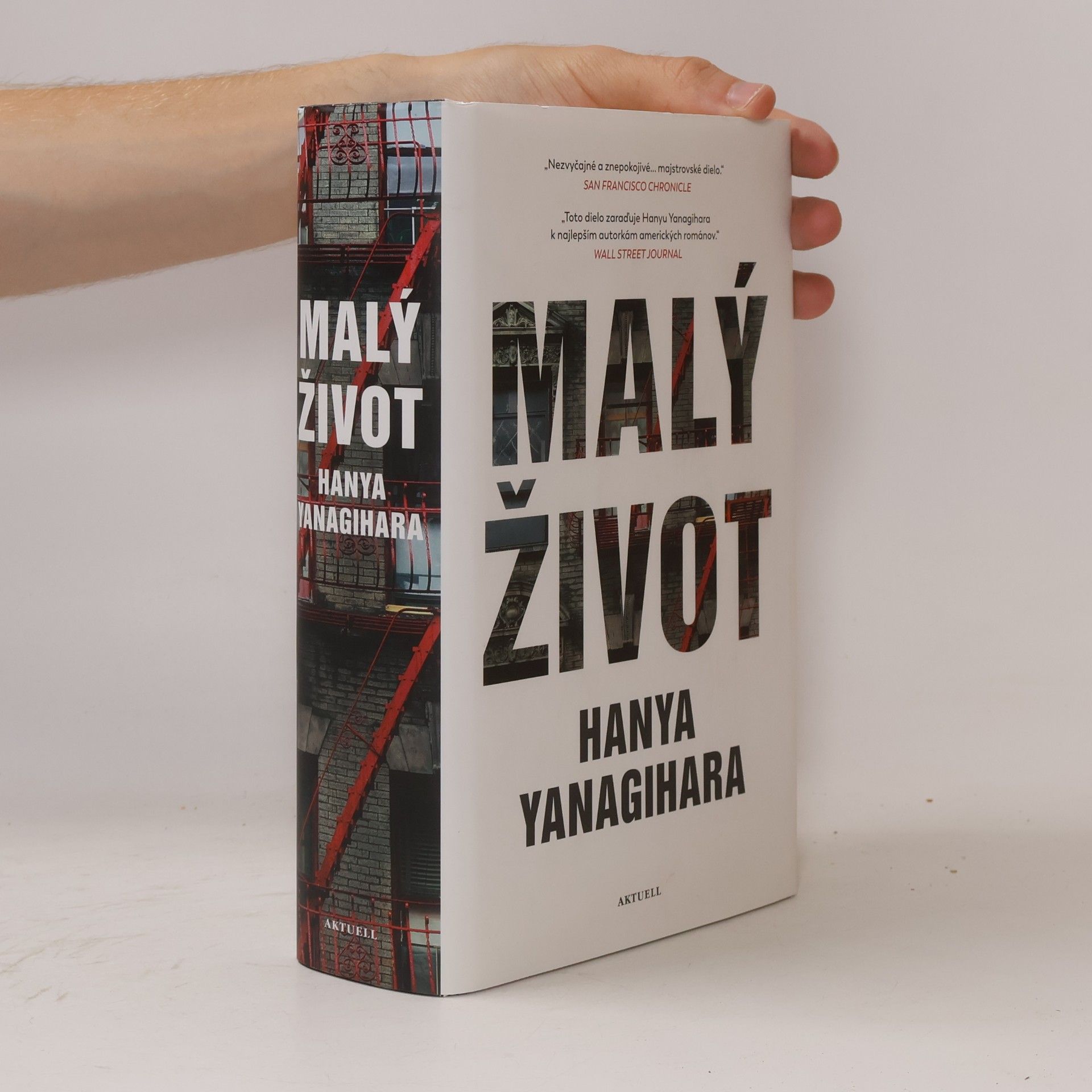 Hanya Yanagihara Malý život