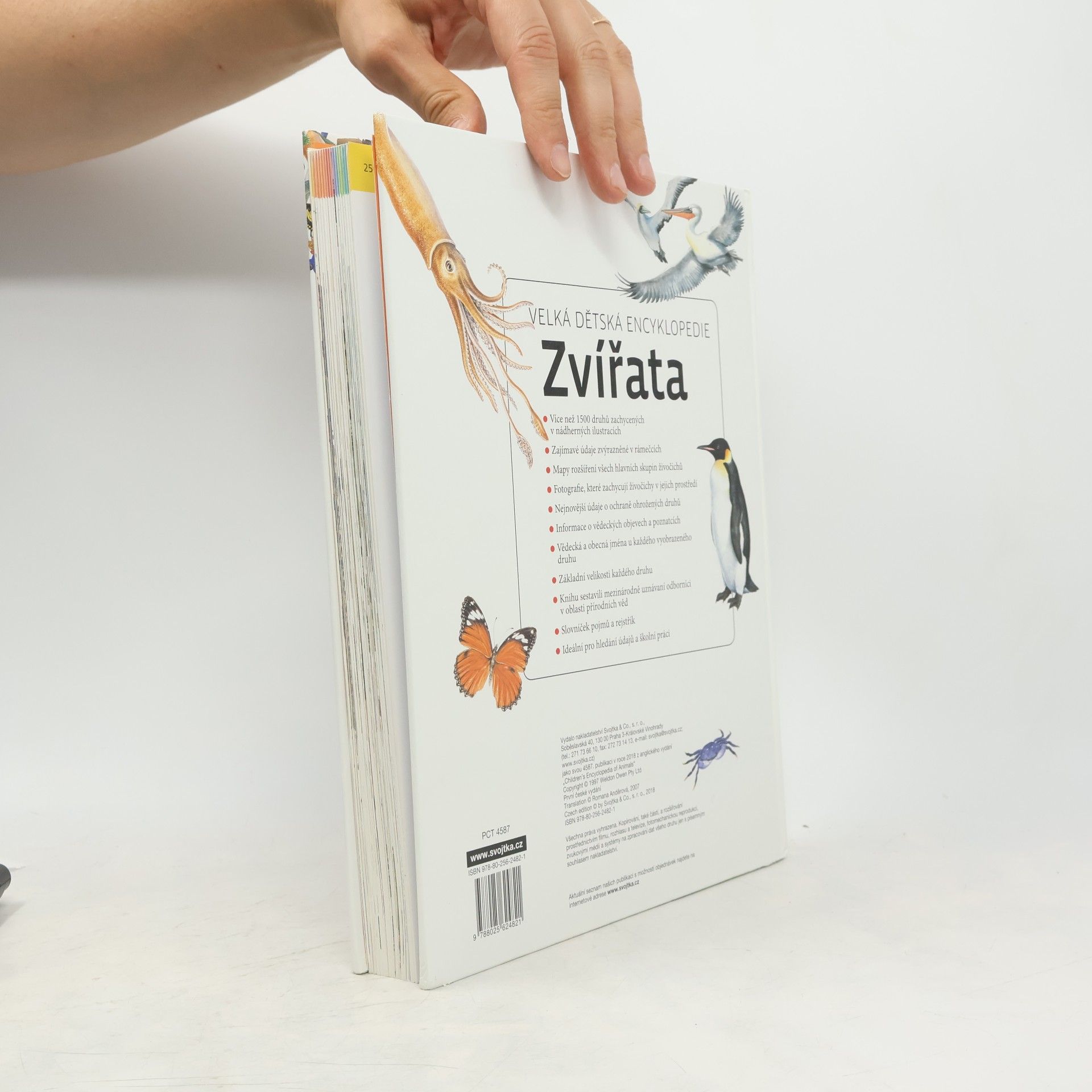 Autorenkollektiv Velká dětská encyklopedie: Zvířata
