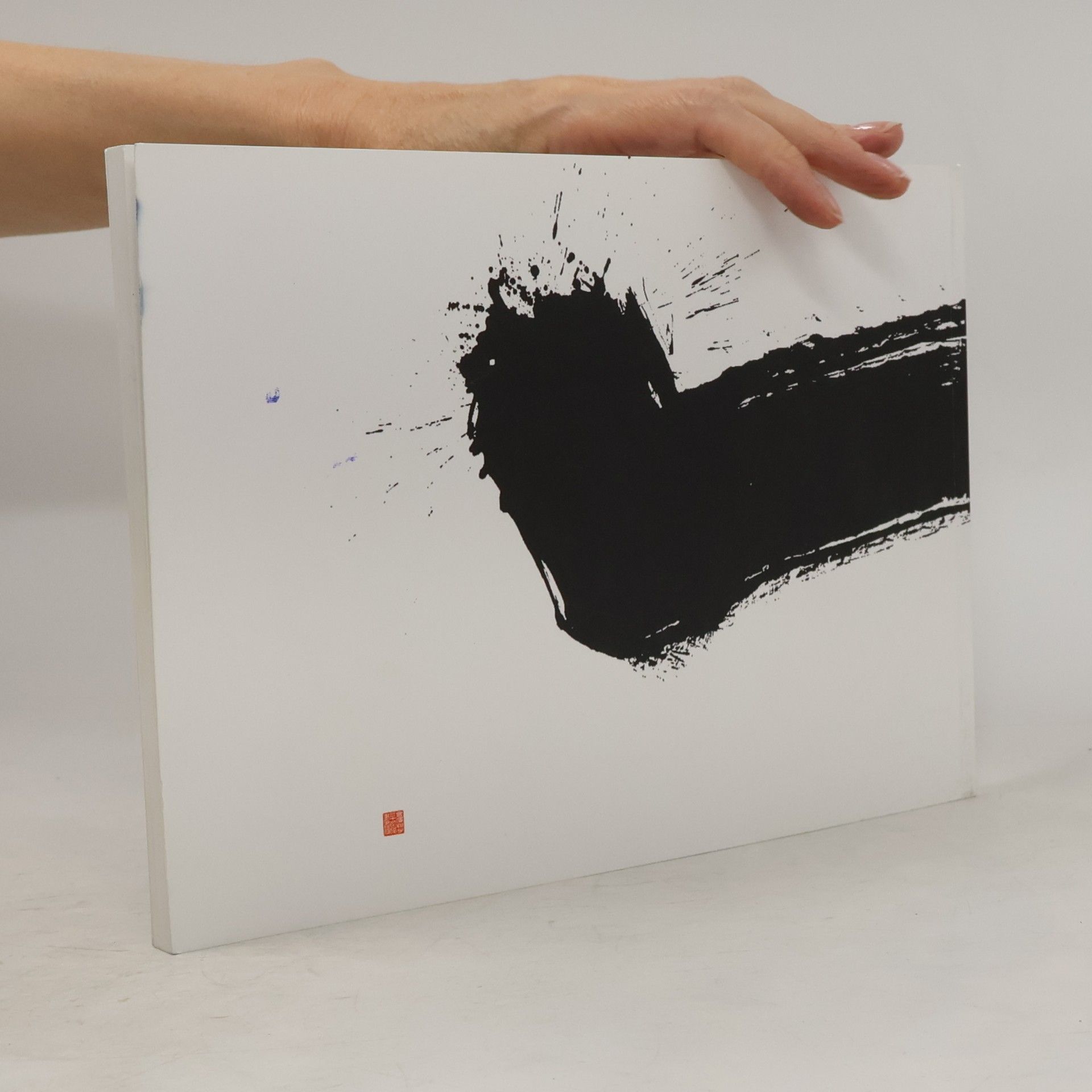 Autorenkollektiv The Ink World of Shōko Kanazawa. Shōko Kanazawa a její tušový svět