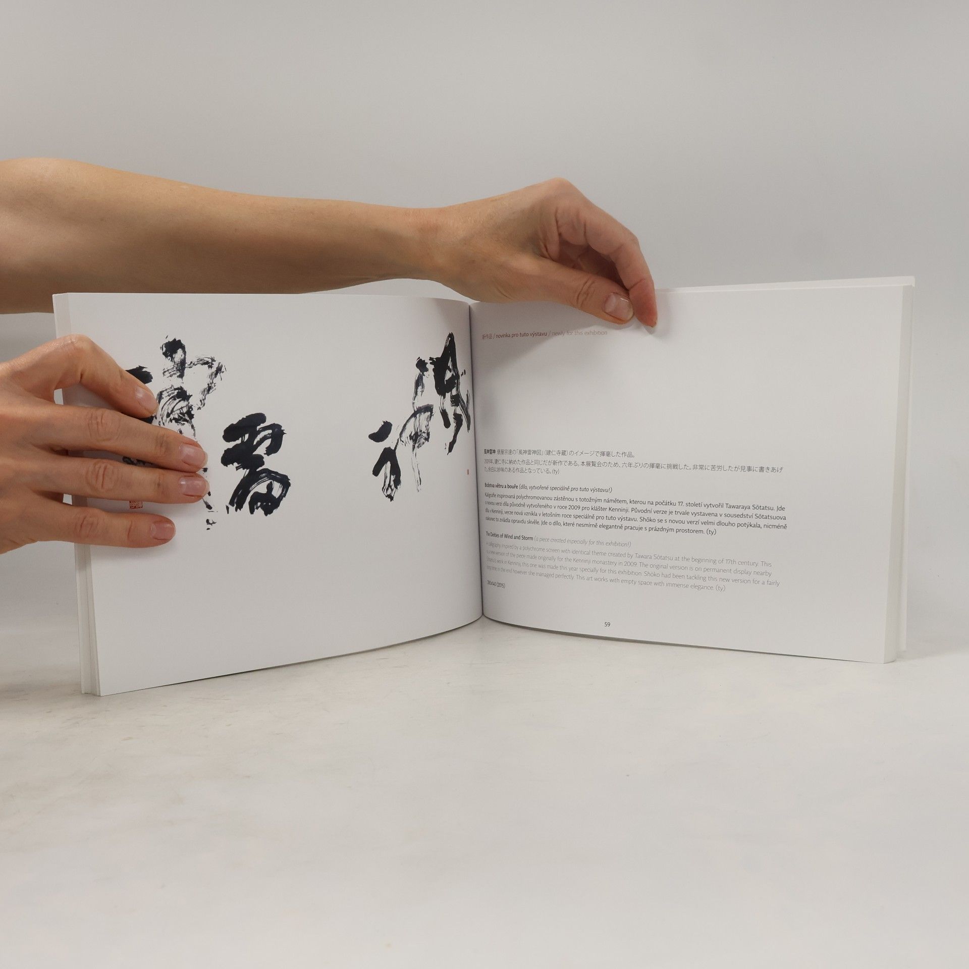 Autorenkollektiv The Ink World of Shōko Kanazawa. Shōko Kanazawa a její tušový svět