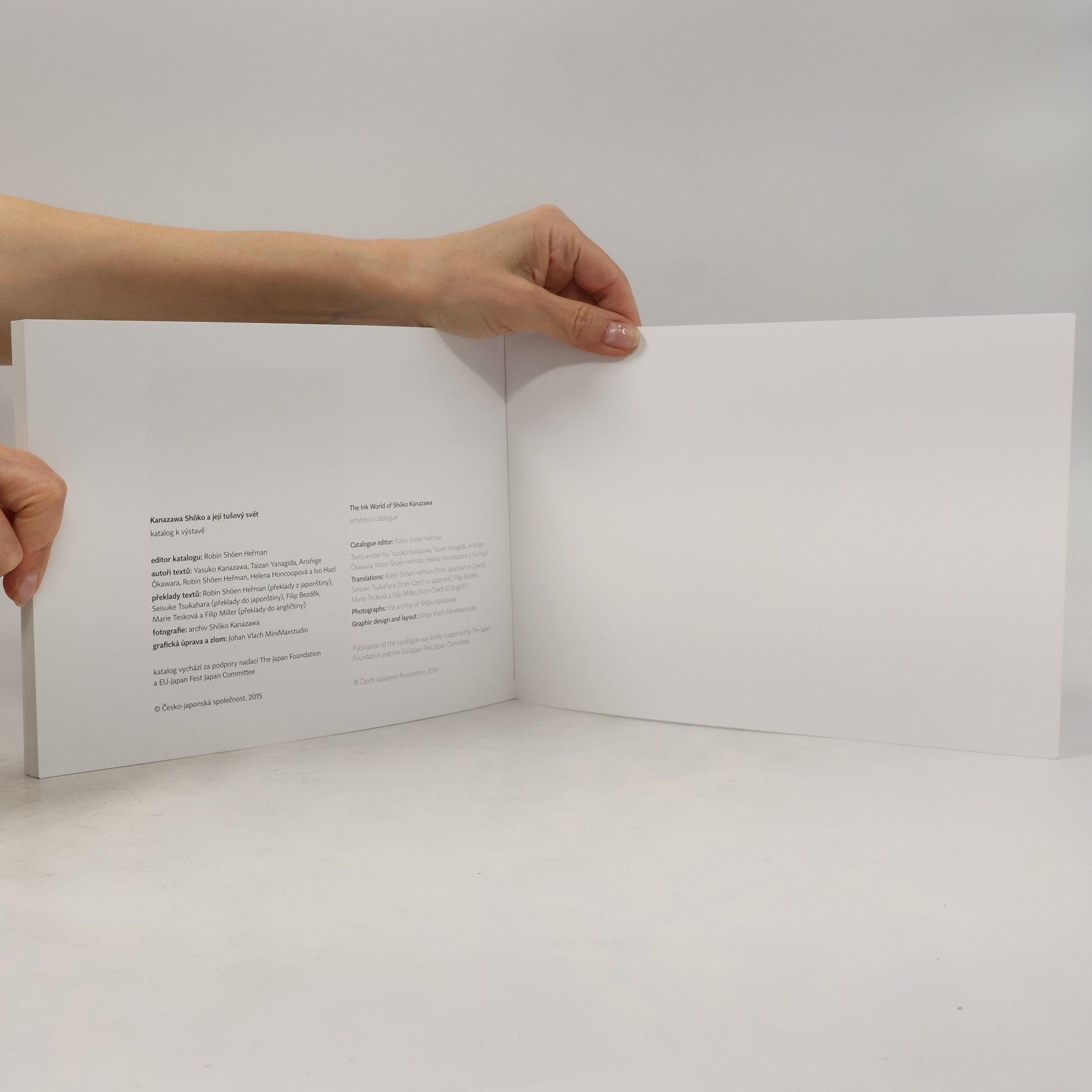 Autorenkollektiv The Ink World of Shōko Kanazawa. Shōko Kanazawa a její tušový svět