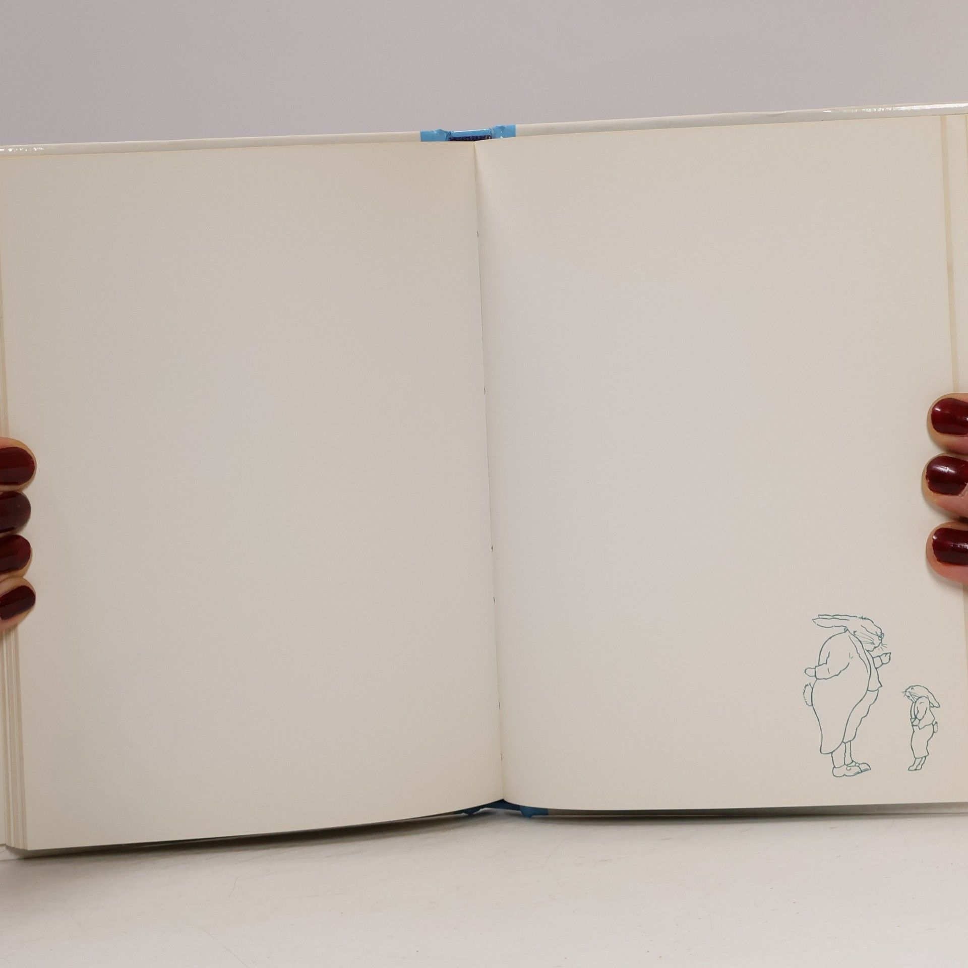 Das Häschenschule-Blankbuch mit Daumenkino