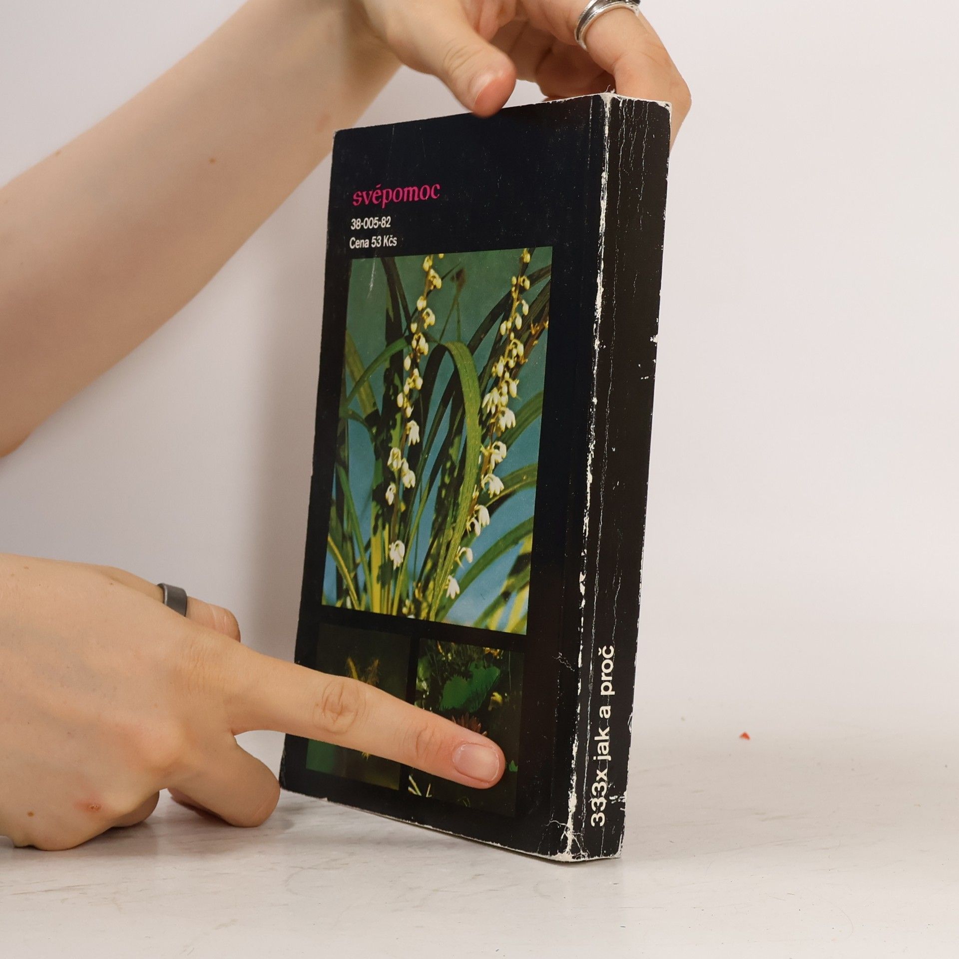 Collectif d'auteurs 333x jak a proč