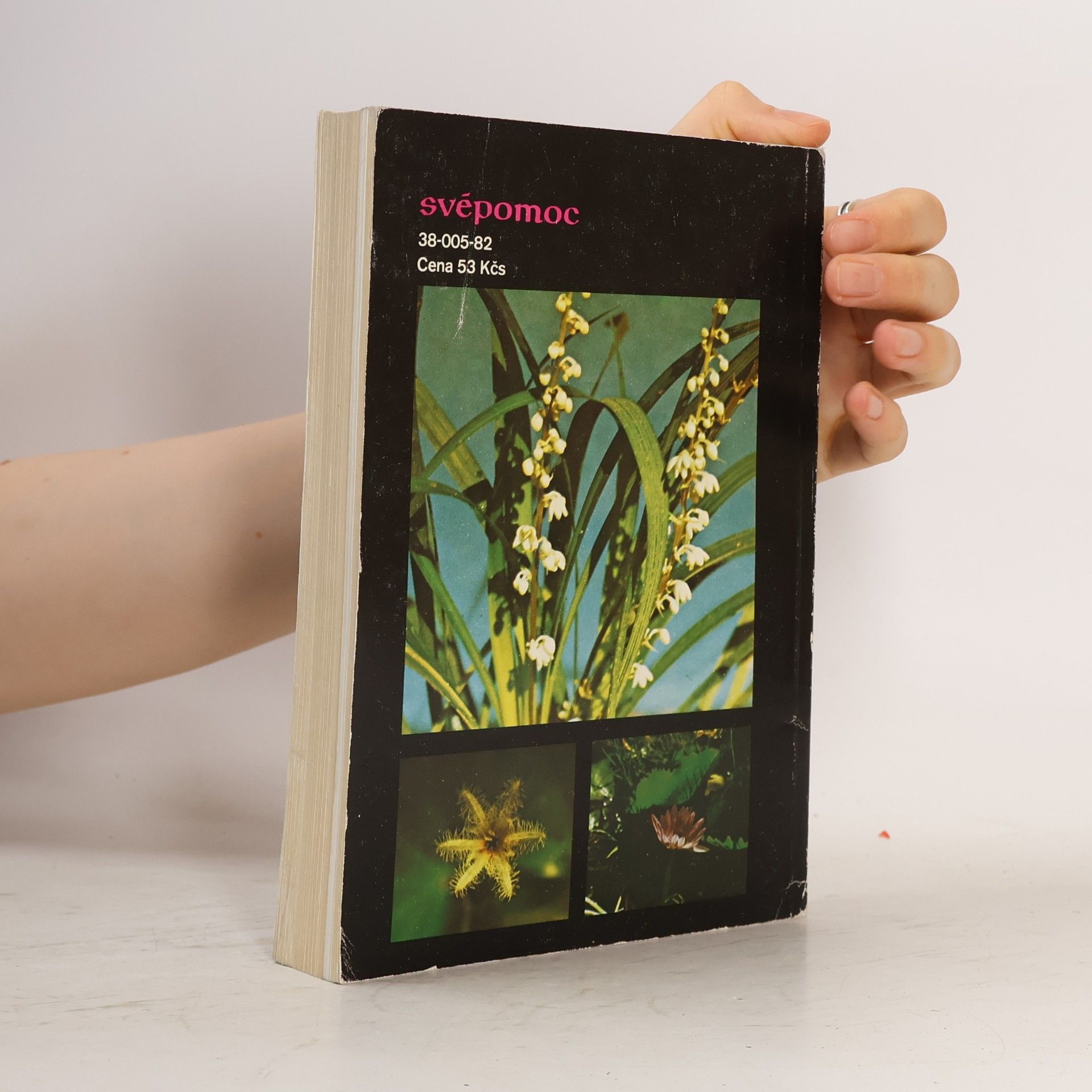 Collectif d'auteurs 333x jak a proč