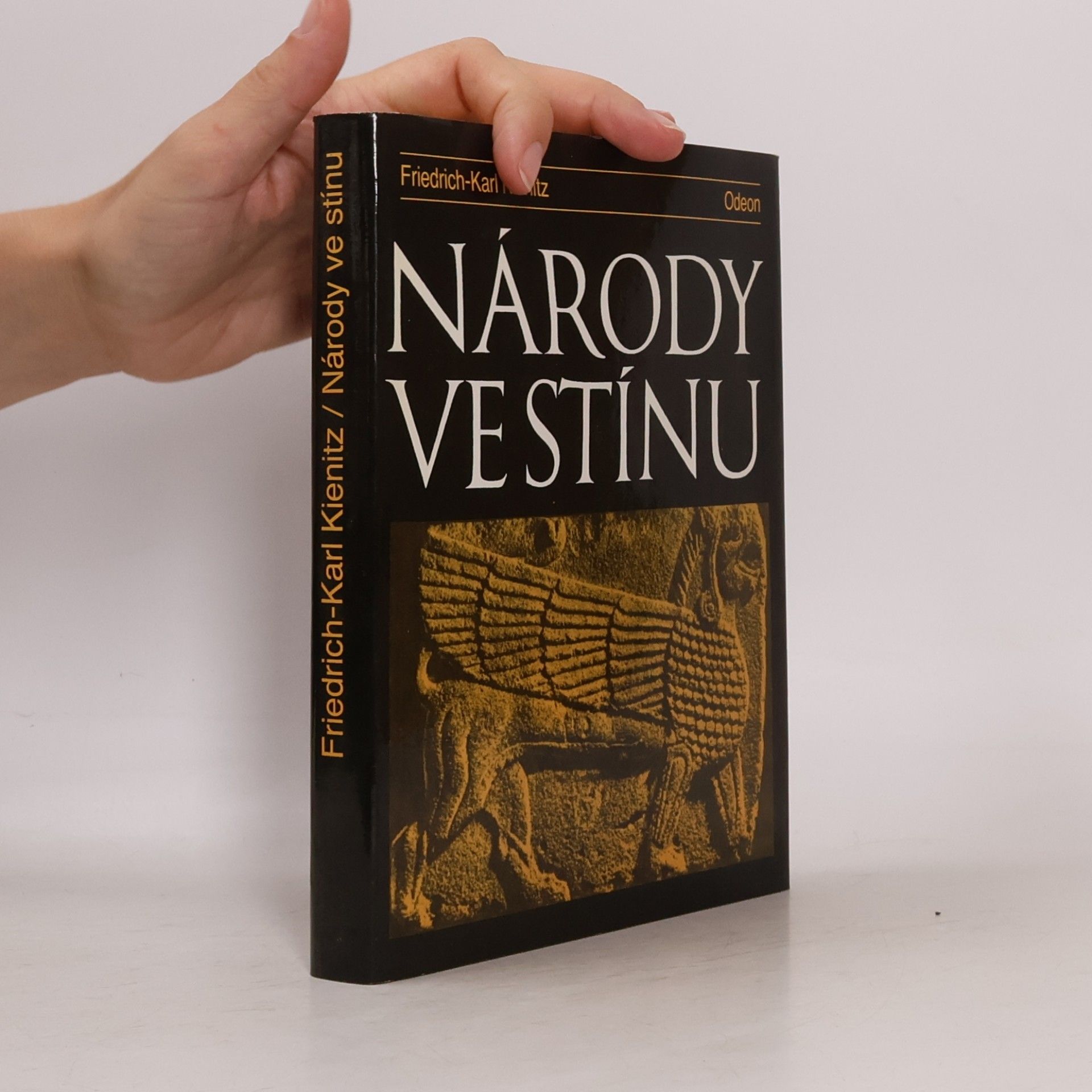 Friedrich Karl Kienitz Národy ve stínu