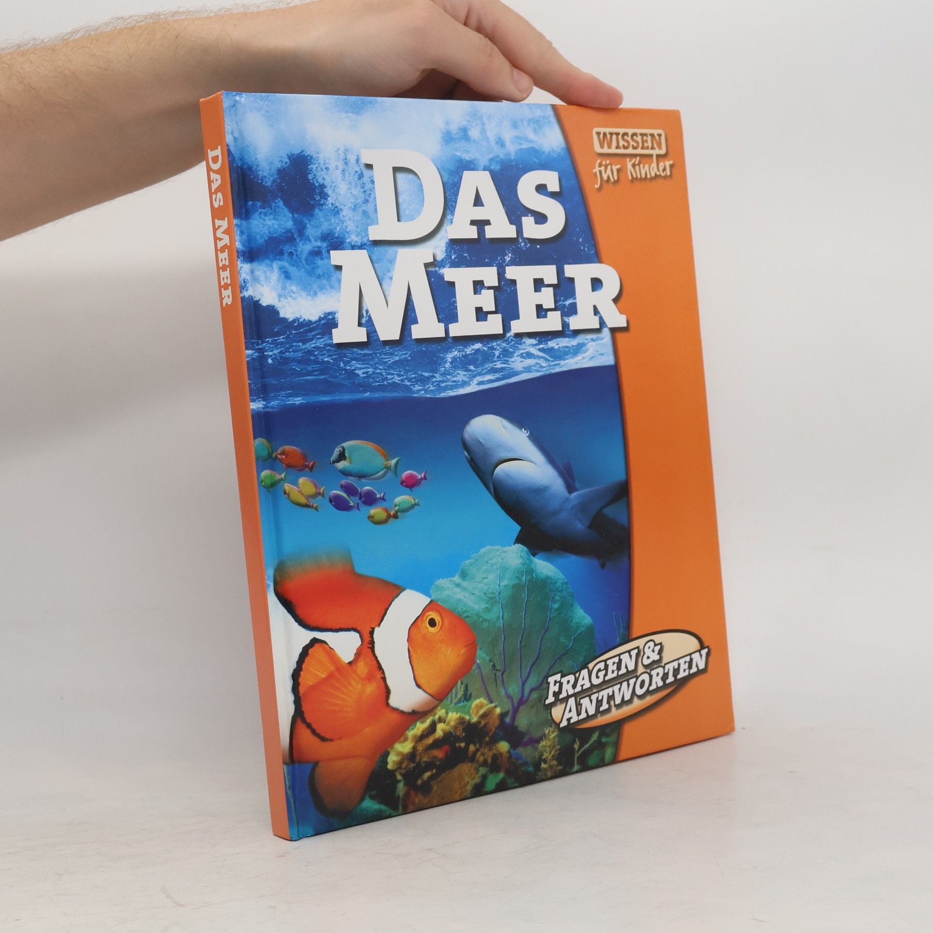 Kolektiv autorů Das Meer