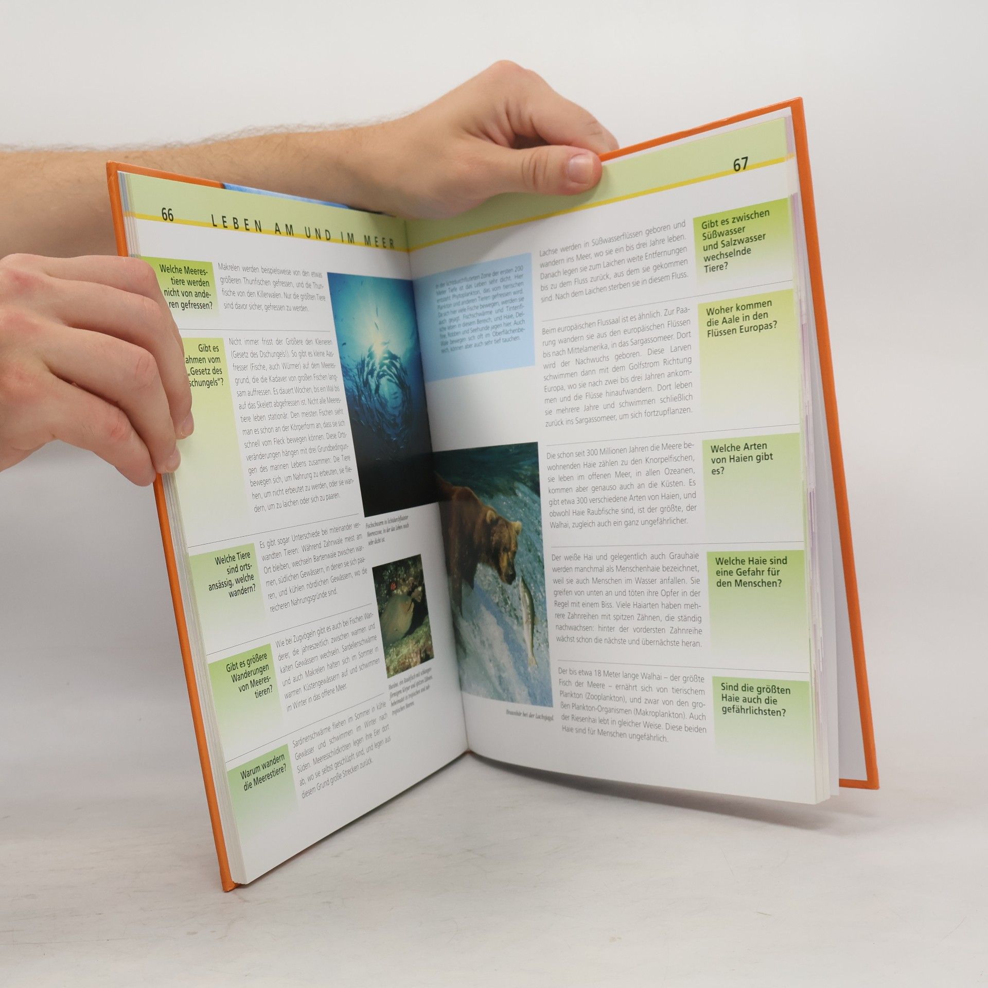 Autores varios Das Meer