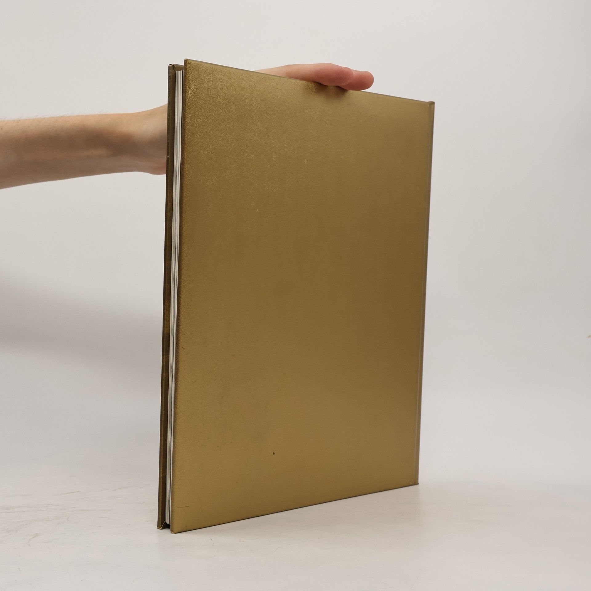 Autores varios Gold und Macht der Inka