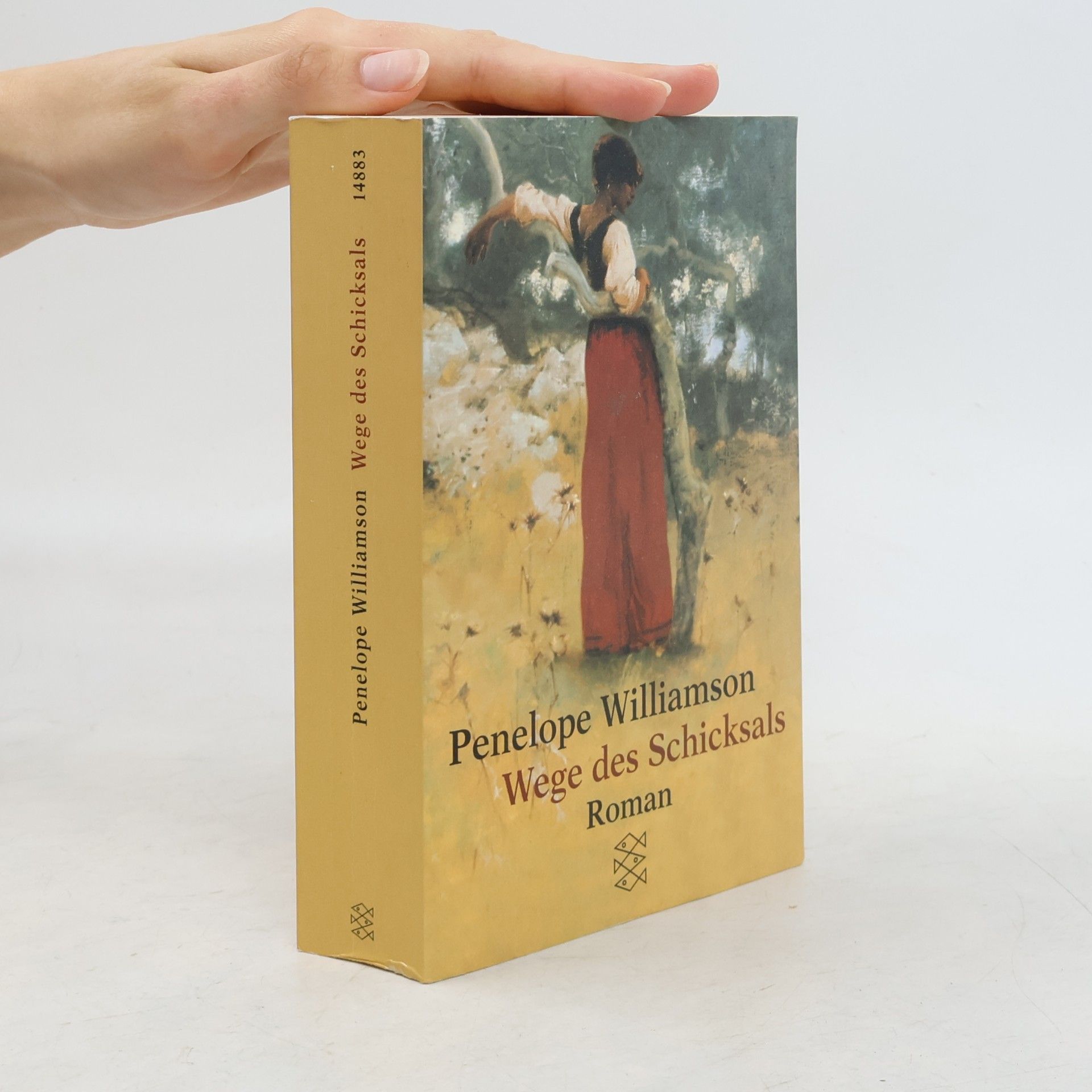 Penelope Williamson Wege des Schicksals