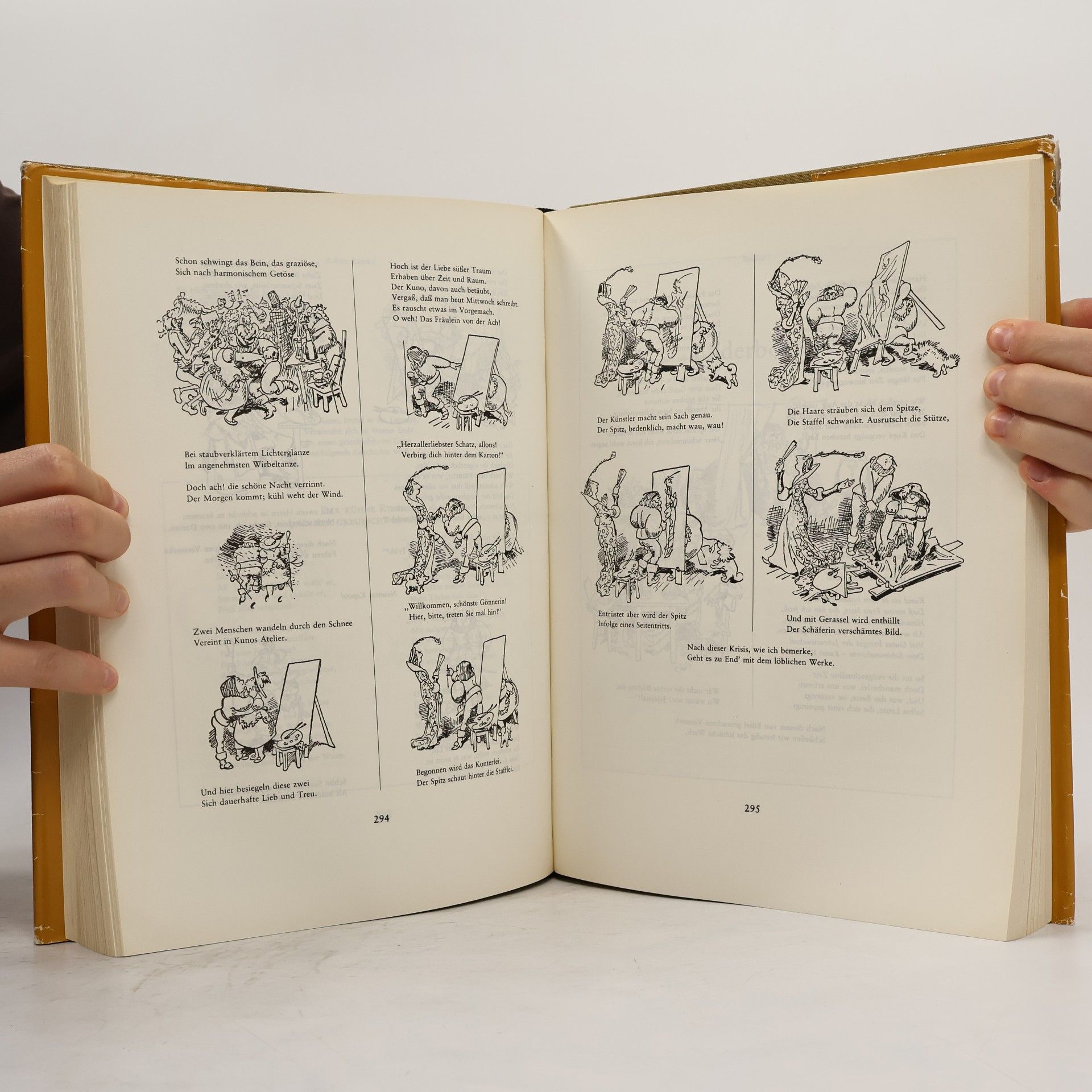 Autorenkollektiv Das dicke Busch-Buch