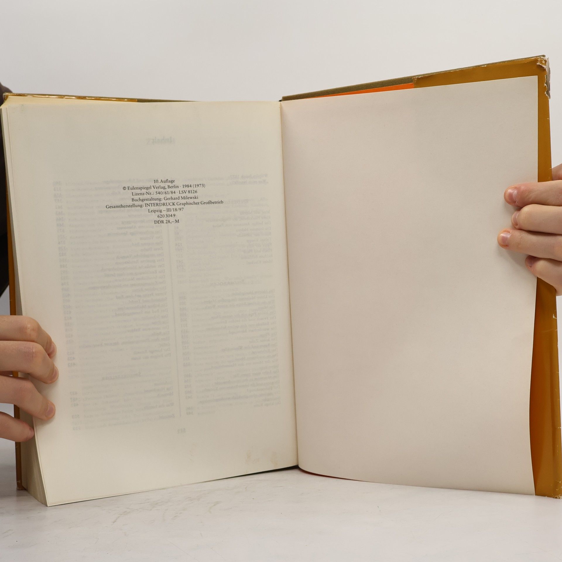 Autorenkollektiv Das dicke Busch-Buch