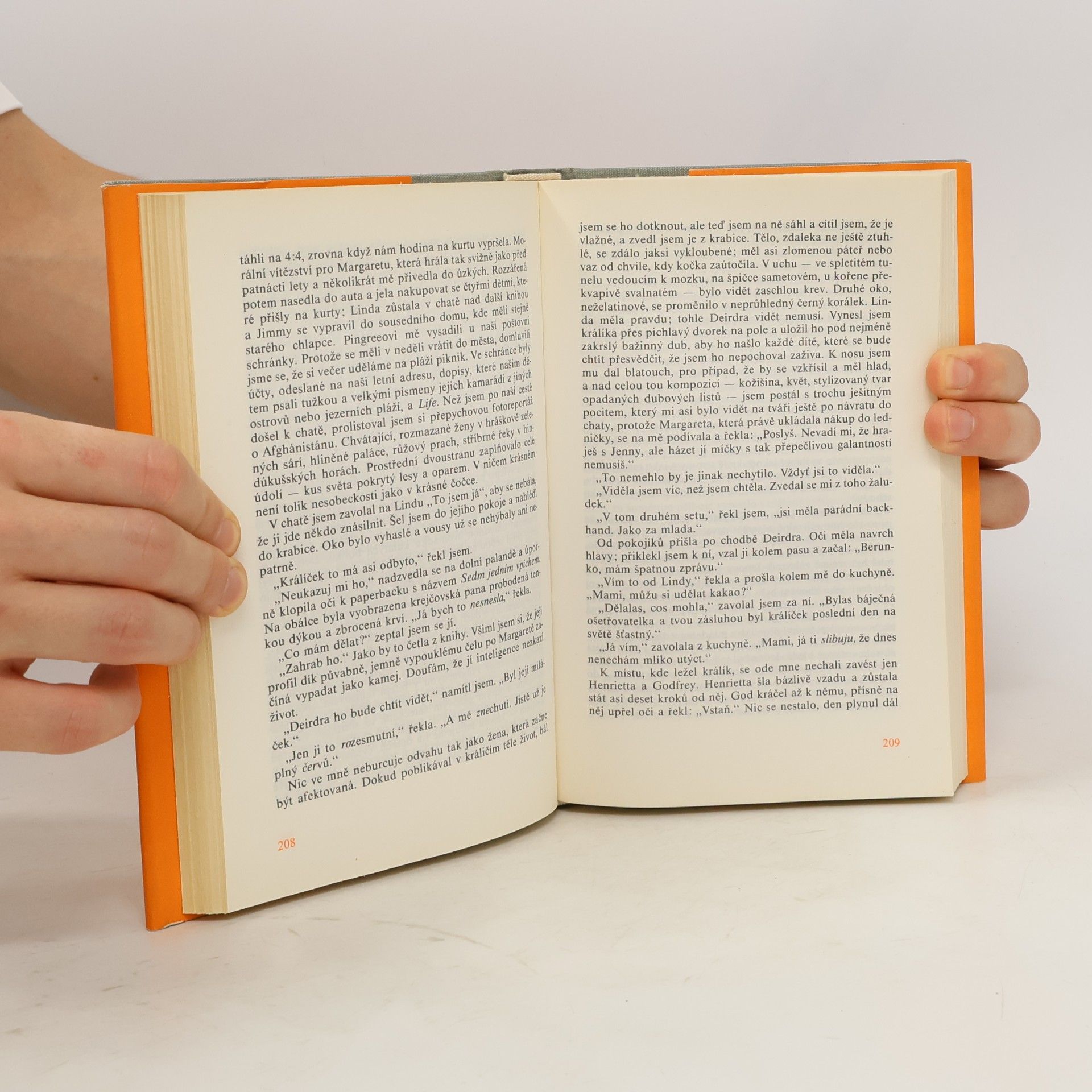 John Updike Milenci a manželé